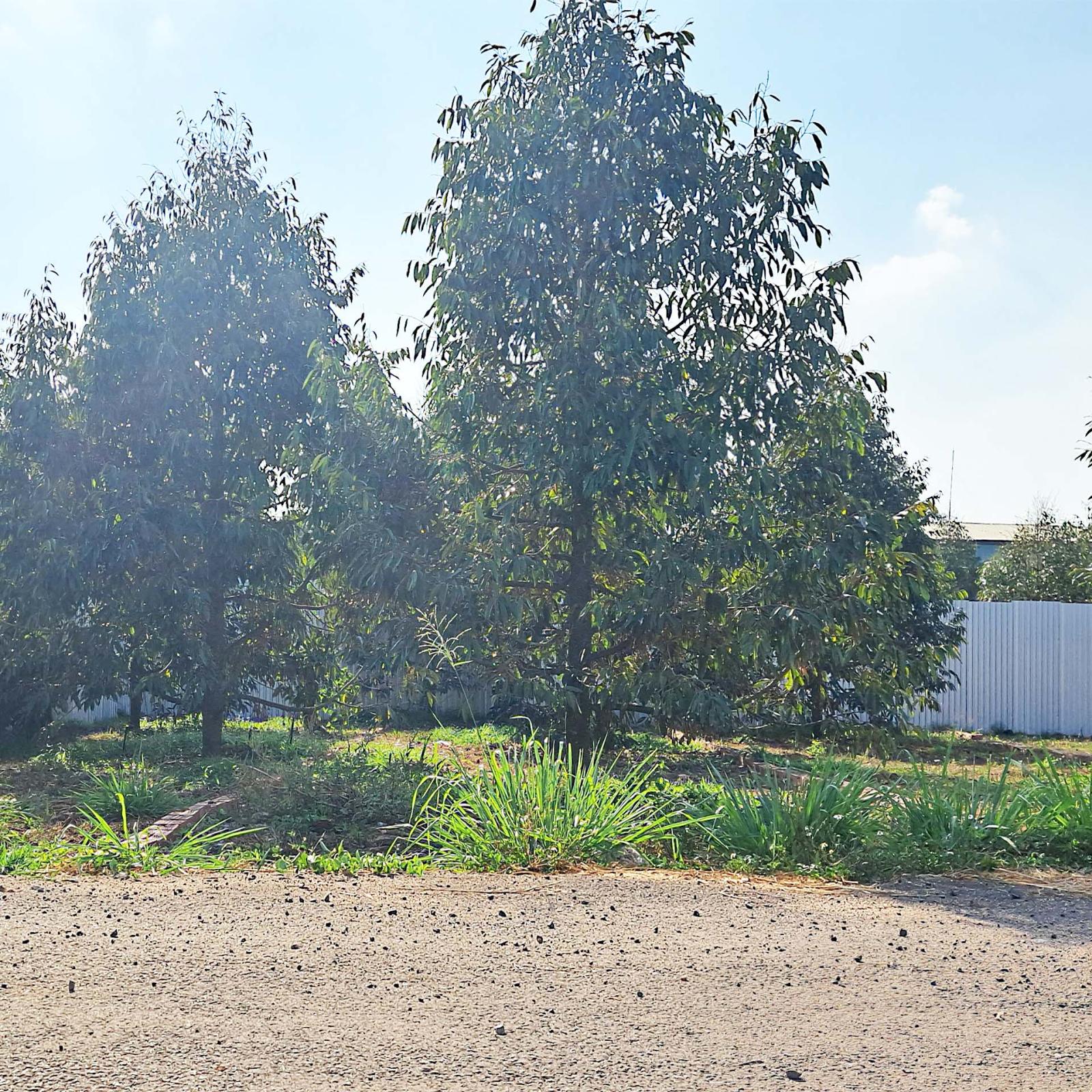 5x26 MT NHỰA LỚN  NGAY DT770B và KDC XUÂN TÂN, TP LONG KHÁNH. ĐN 15996800