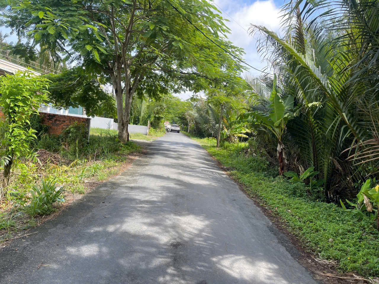 BÁN ĐẤT ĐẸP ĐƯỜNG 936 – HƯỚNG PHÀ DÙ THO CŨ, THAM ĐÔN, MỸ XUYÊN, SÓC TRĂNG 15996820