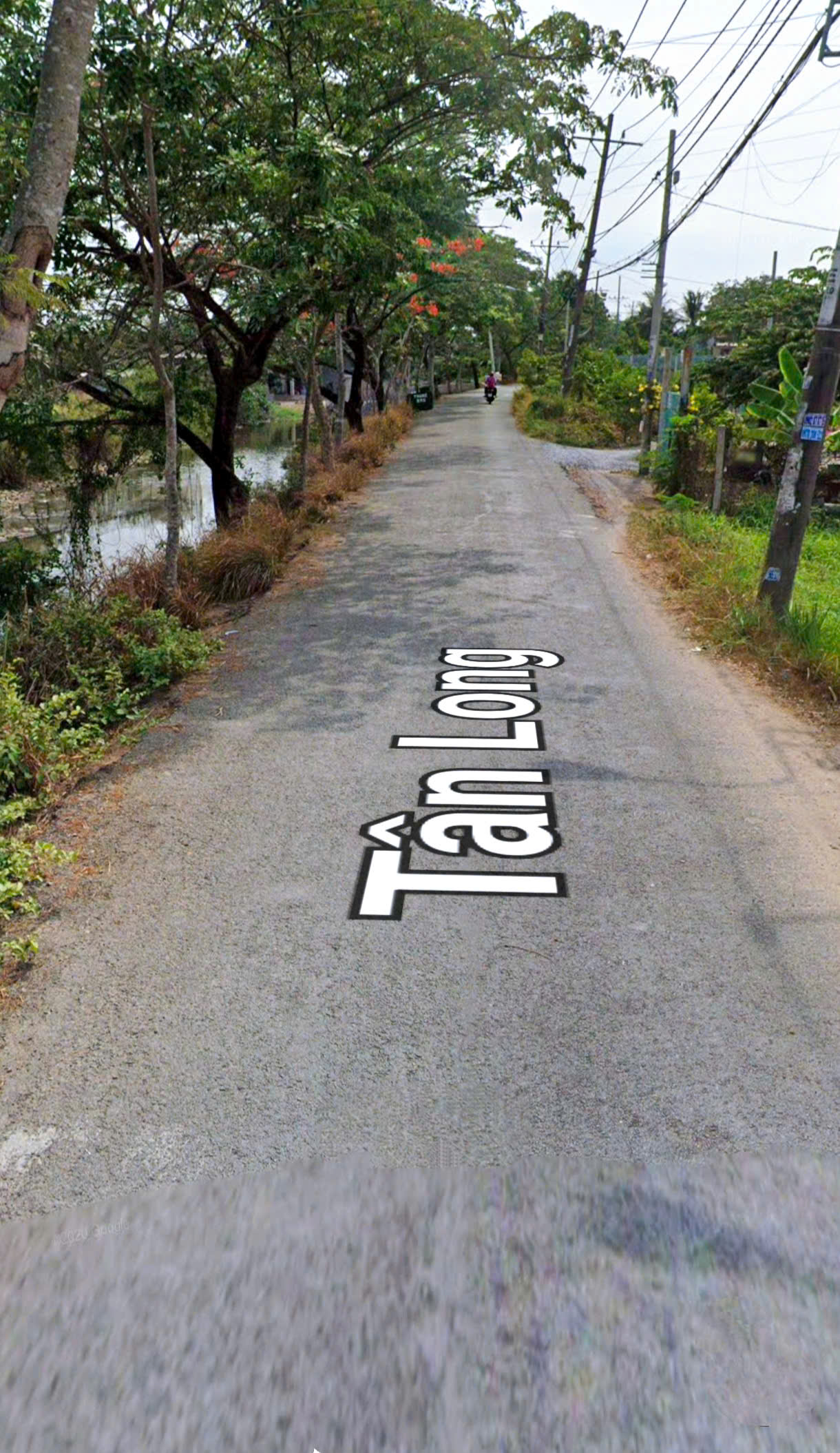 CẦN BÁN 248M2 8,7X31 NHÀ CẤP 4 MT ĐƯỜNG TÂN LONG 15996884