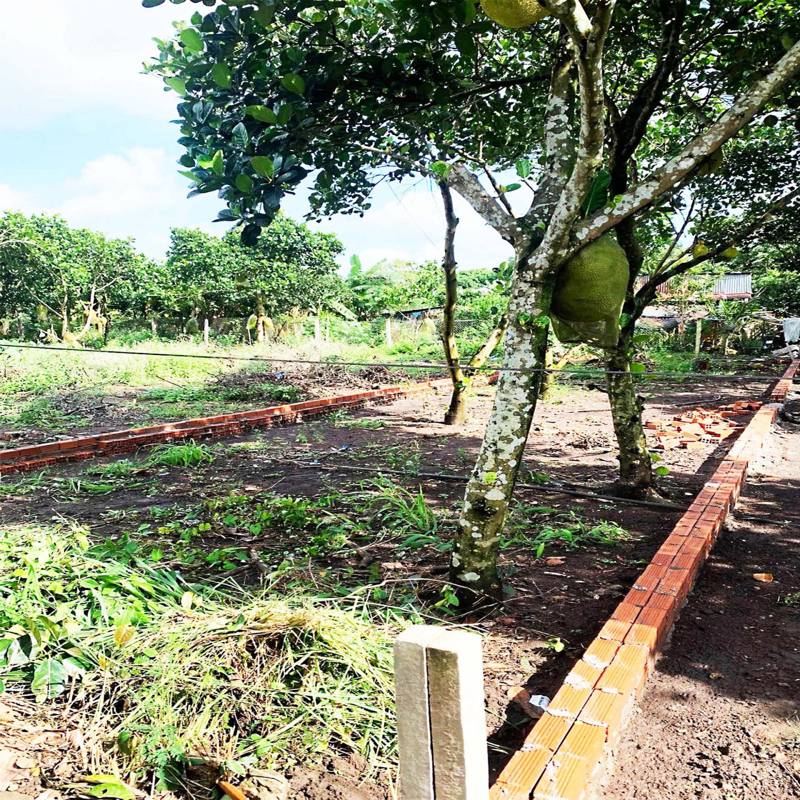 121m2 NGAY DỐC ĐỒN, P BẢO VINH, LONG KHÁNH, ĐN. GIÁ CHỈ 890Tr 15996960