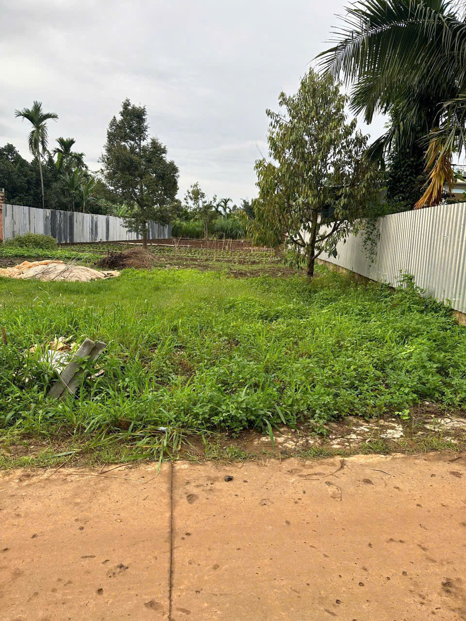 BÁN ĐẤT GIÁ TỐT – CƠ HỘI ĐẦU TƯ HẤP DẪN - THÔN 85 - TỈNH ĐẮK LẮK 15996986