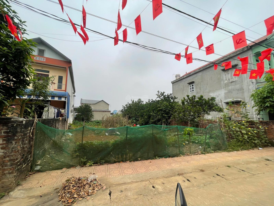 đất nền trung tâm Phú Cát - Hòa Lạc, sát trục chính liên xã, gần quỹ đất 3 trường đại học 15997052