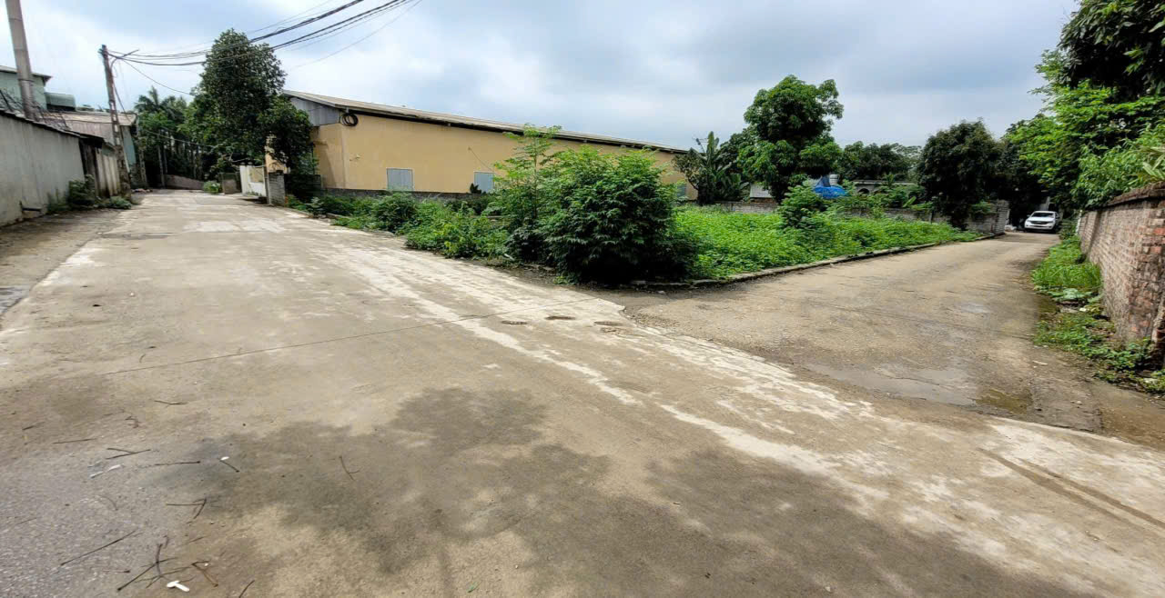 F0 - cần bán gấp - 391m - ngay khu CN Lương Sơn - chỉ 3.x tỷ 15997074