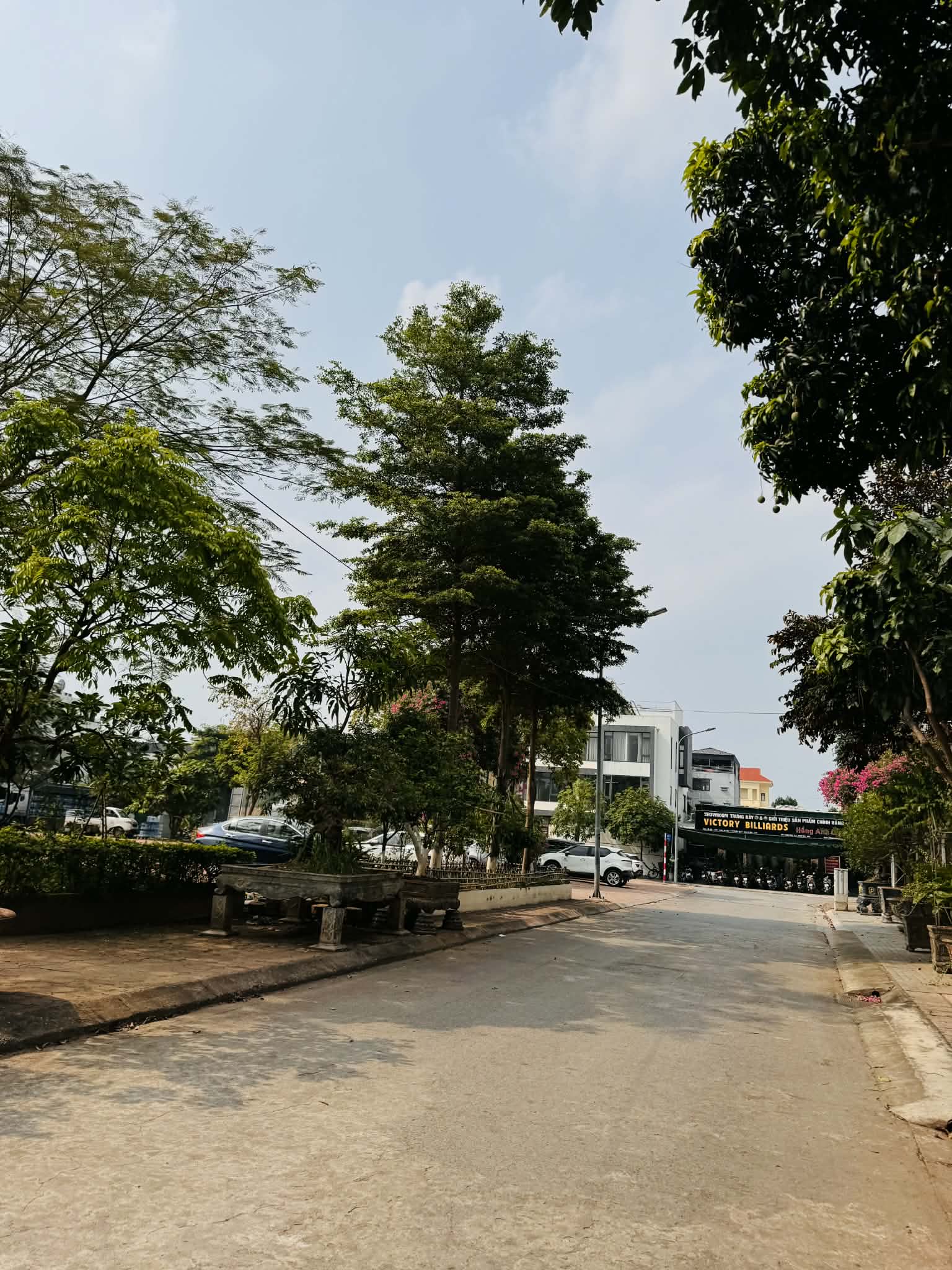 Bán đất biệt thự khu đấu giá 31ha,Trâu Quỳ,Gia Lâm 248m2 đường 15m view Vườn hoa,dòng tiền 15997099