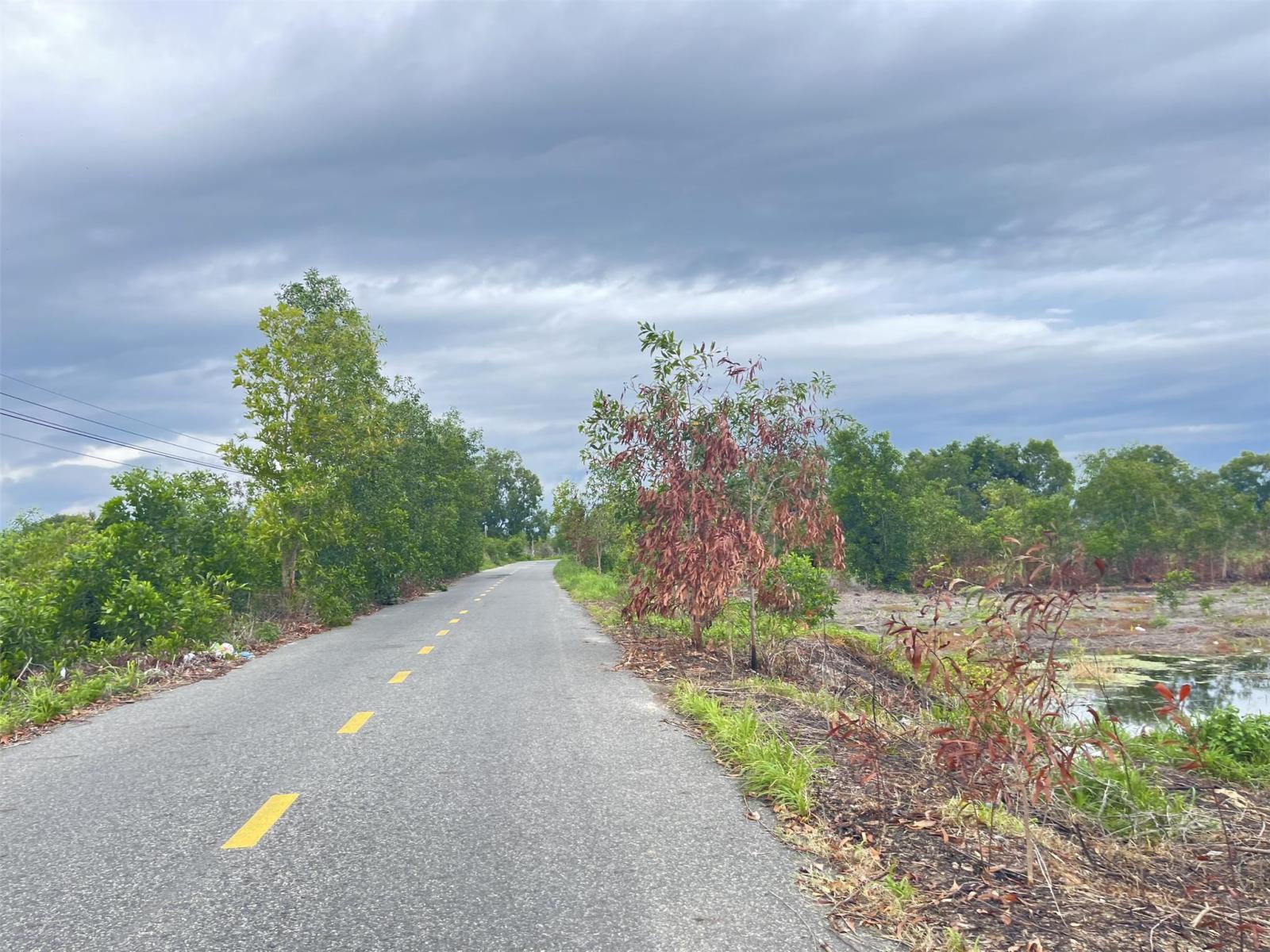 Bán 61.5m đất ODT Mặt tiền Lê Quang Định - LaGi gần Biển giá ngộp 220tr/m ngang 15997106