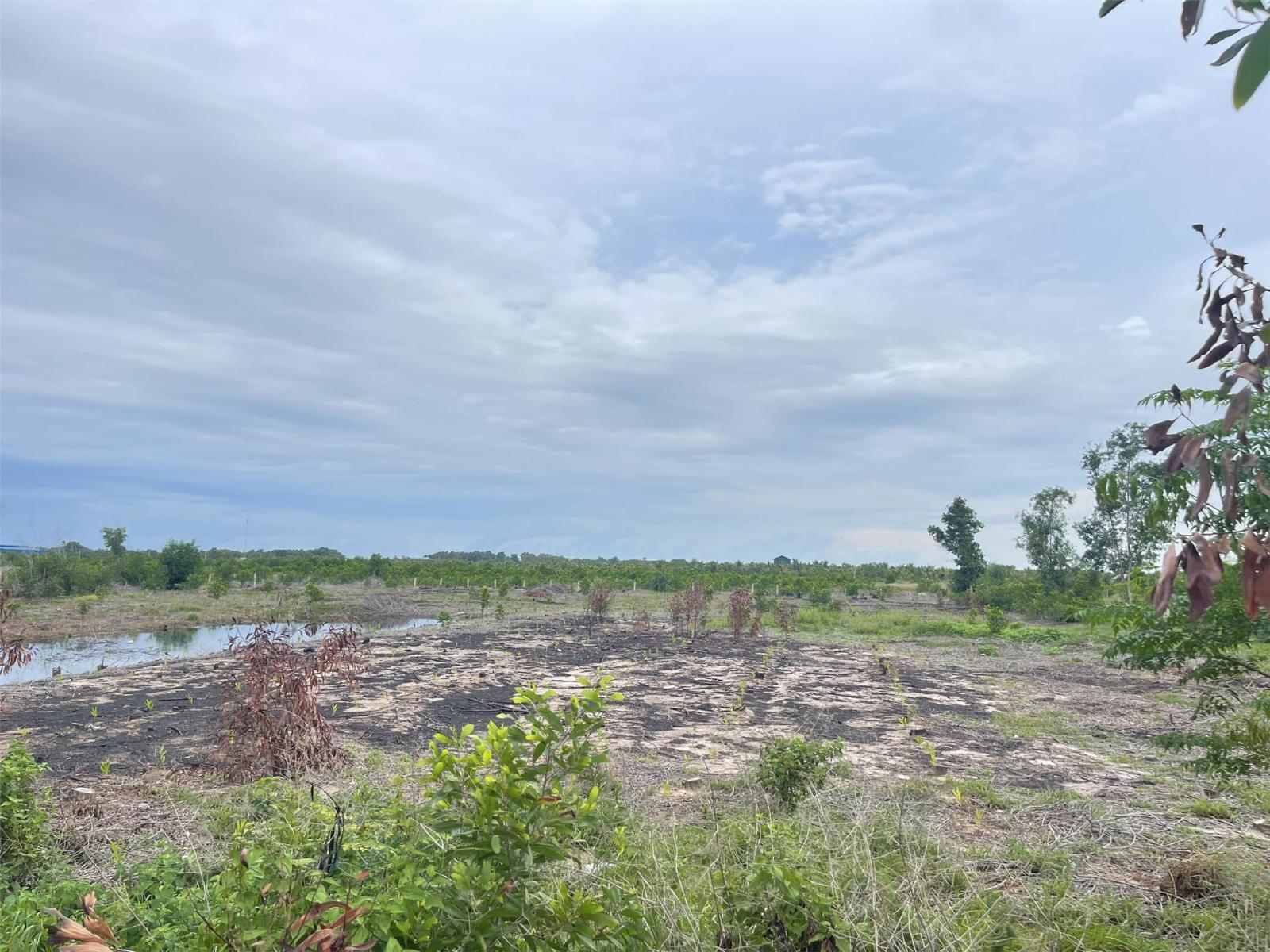 Bán 61.5m đất ODT Mặt tiền Lê Quang Định - LaGi gần Biển giá ngộp 220tr/m ngang 15997106