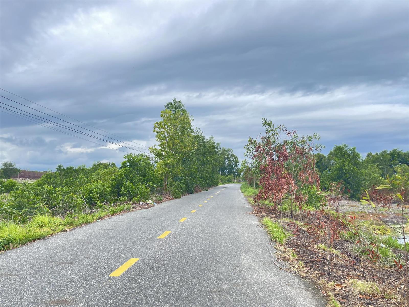 Bán 61.5m đất ODT Mặt tiền Lê Quang Định - LaGi gần Biển giá ngộp 220tr/m ngang 15997106