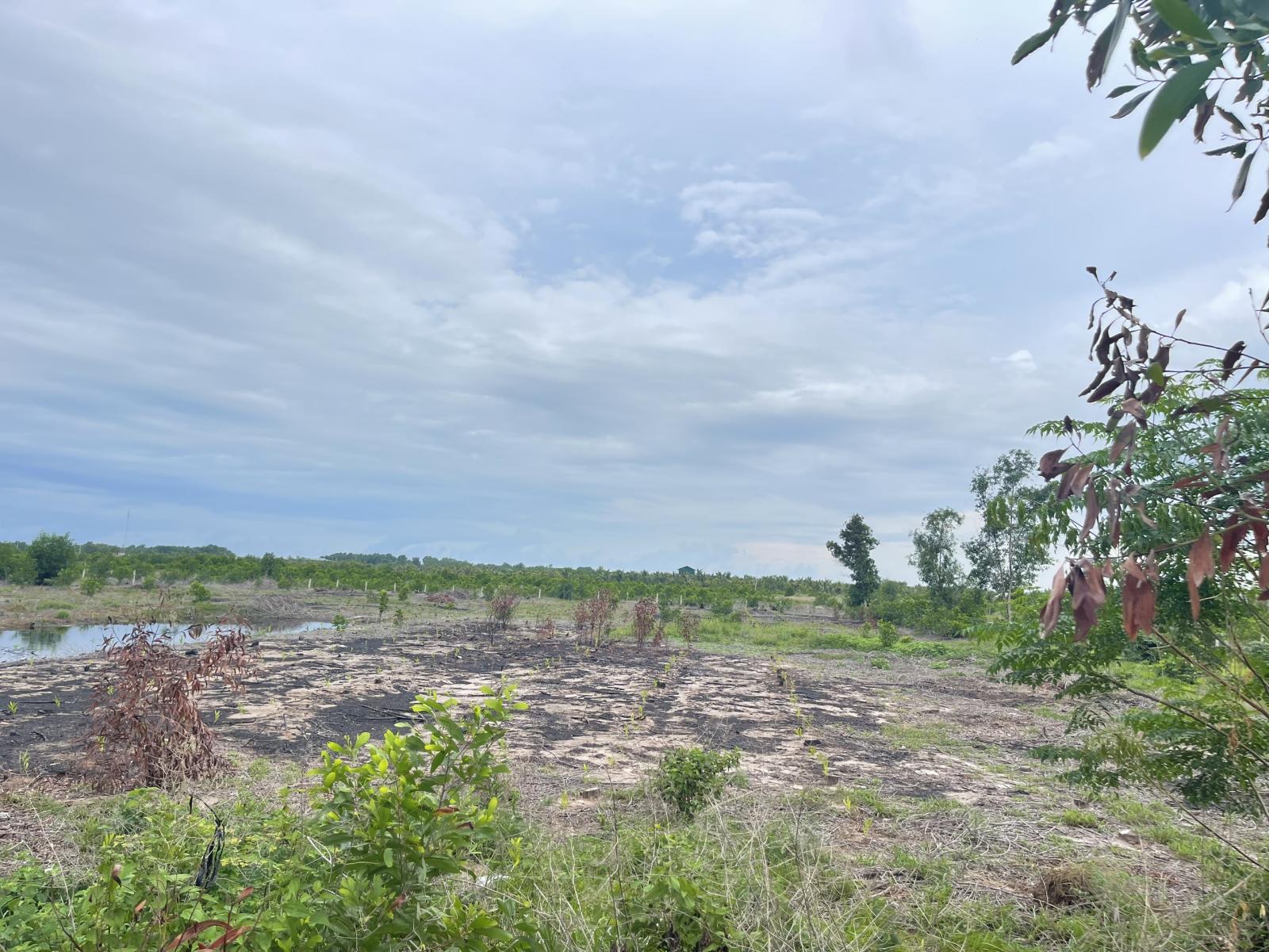 Bán 61.5m đất ODT Mặt tiền Lê Quang Định - LaGi gần Biển giá ngộp 220tr/m ngang 15997106