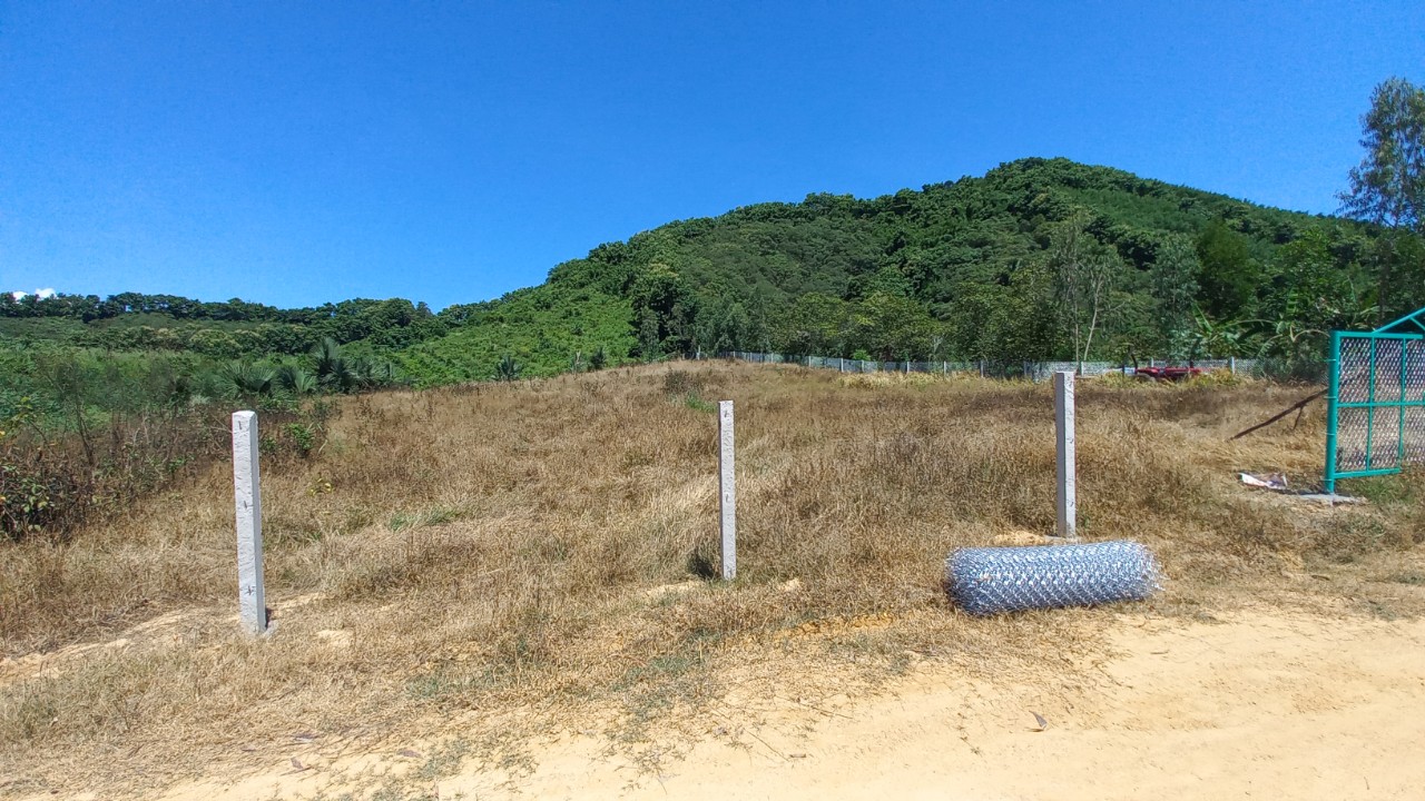 Đất Vườn Nghỉ Dưỡng View Hồ Trị An Xã Thanh Sơn Định Quán Đồng Nai 15997164