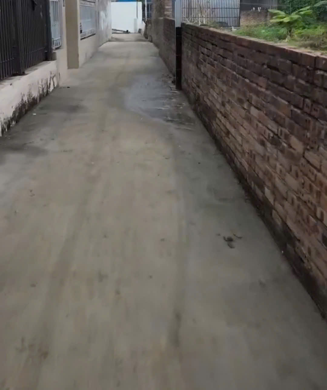 BÁN ĐẤT ĐÔNG HẢI 1 – SÁT HỒ PHƯƠNG LƯU – 100M² – GIÁ 3,25 TỶ 15997318