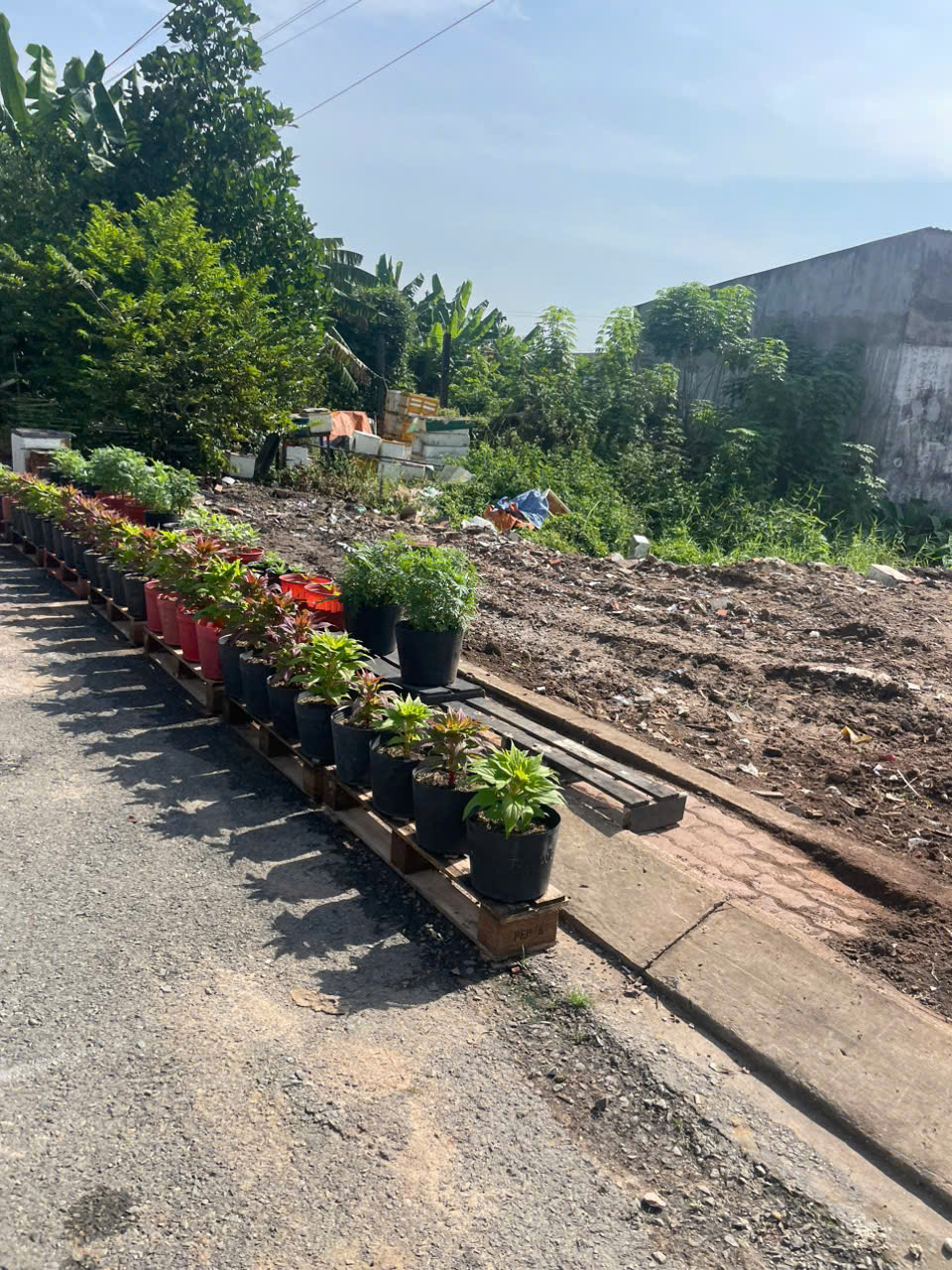 Đất Đông Thạnh (5x25.5), HXH, đường nhựa đẹp. SHR công chứng ngay! 15997366