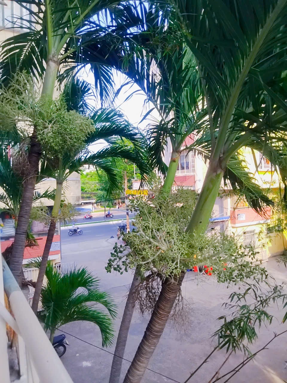 CHÍNH CHỦ Cần CHO THUÊ CĂN HỘ D12 Chung Cư Vĩnh Phước, Đường 2/4 TP Nha Trang - Khánh Hòa 15997452