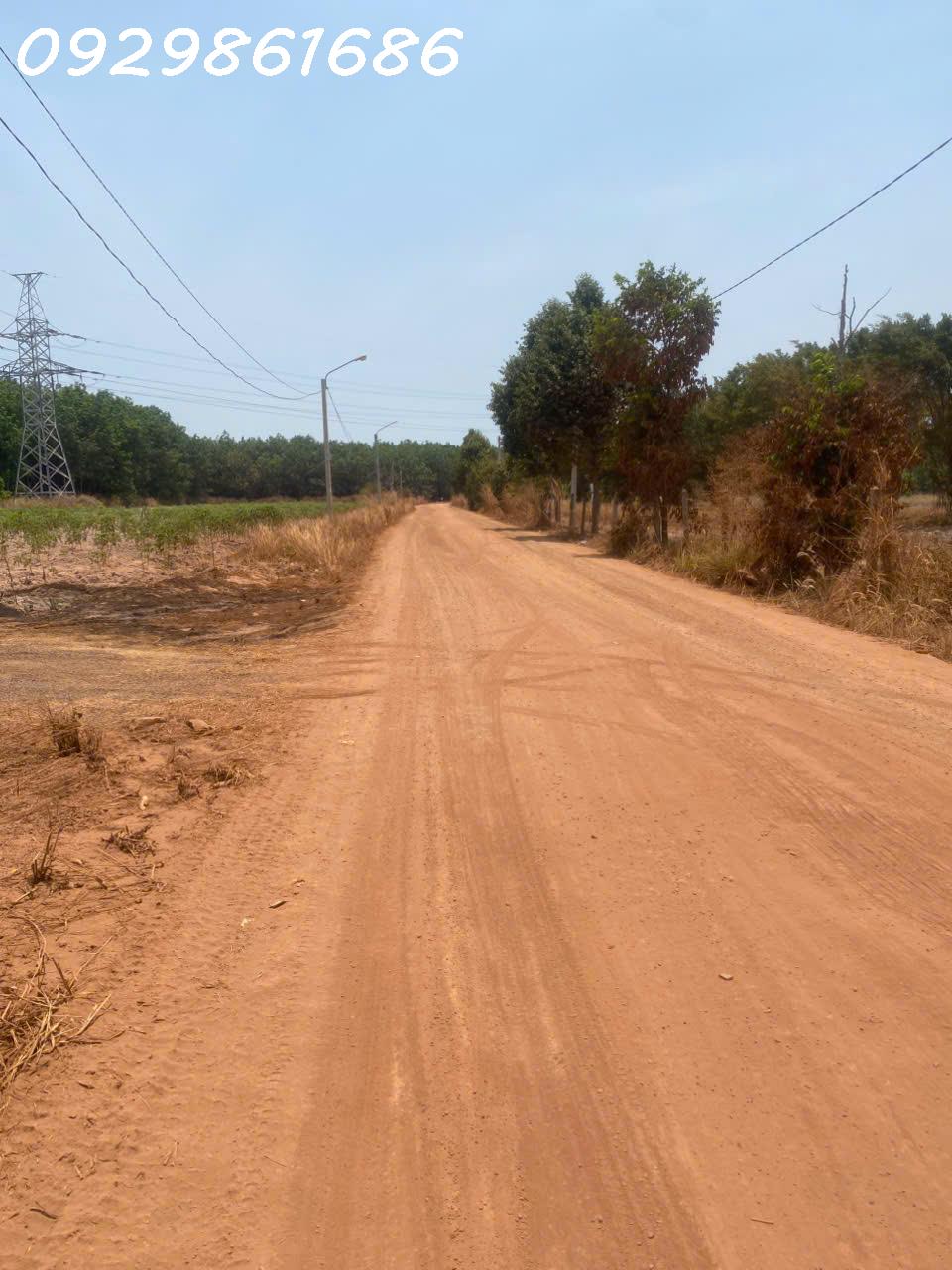 Cắt lỗ bán nhanh lô đất siêu đẹp mặt tiền đường vành đai Becamex Chơn Thành 15997458