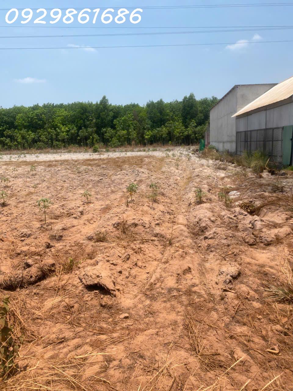 Cắt lỗ bán nhanh lô đất siêu đẹp mặt tiền đường vành đai Becamex Chơn Thành 15997458