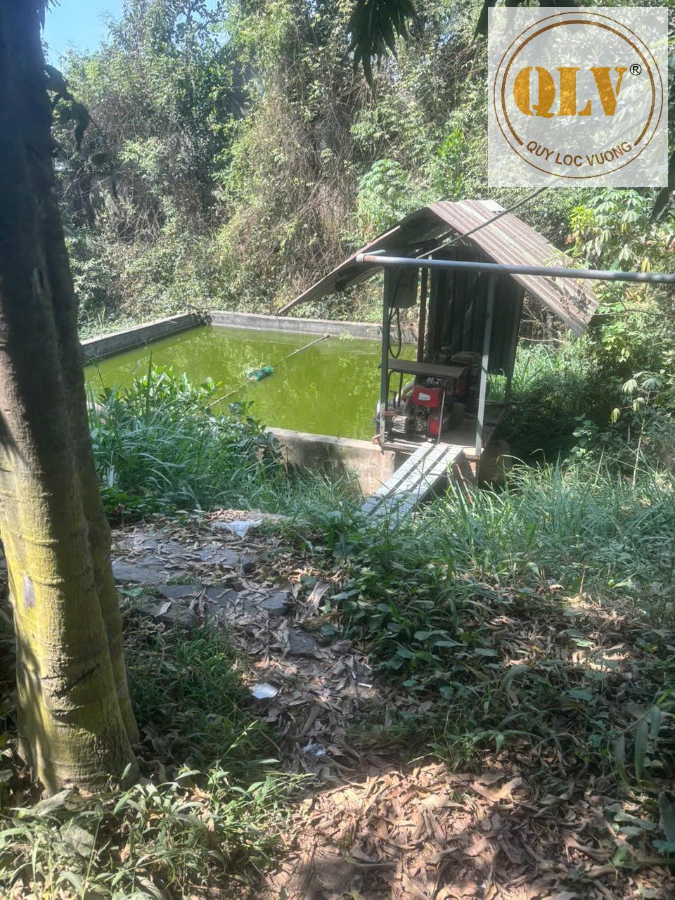 Cho thuê nhà xưởng – Phước Tân, Biên Hòa, Đồng Nai – 3.000m² 15997511