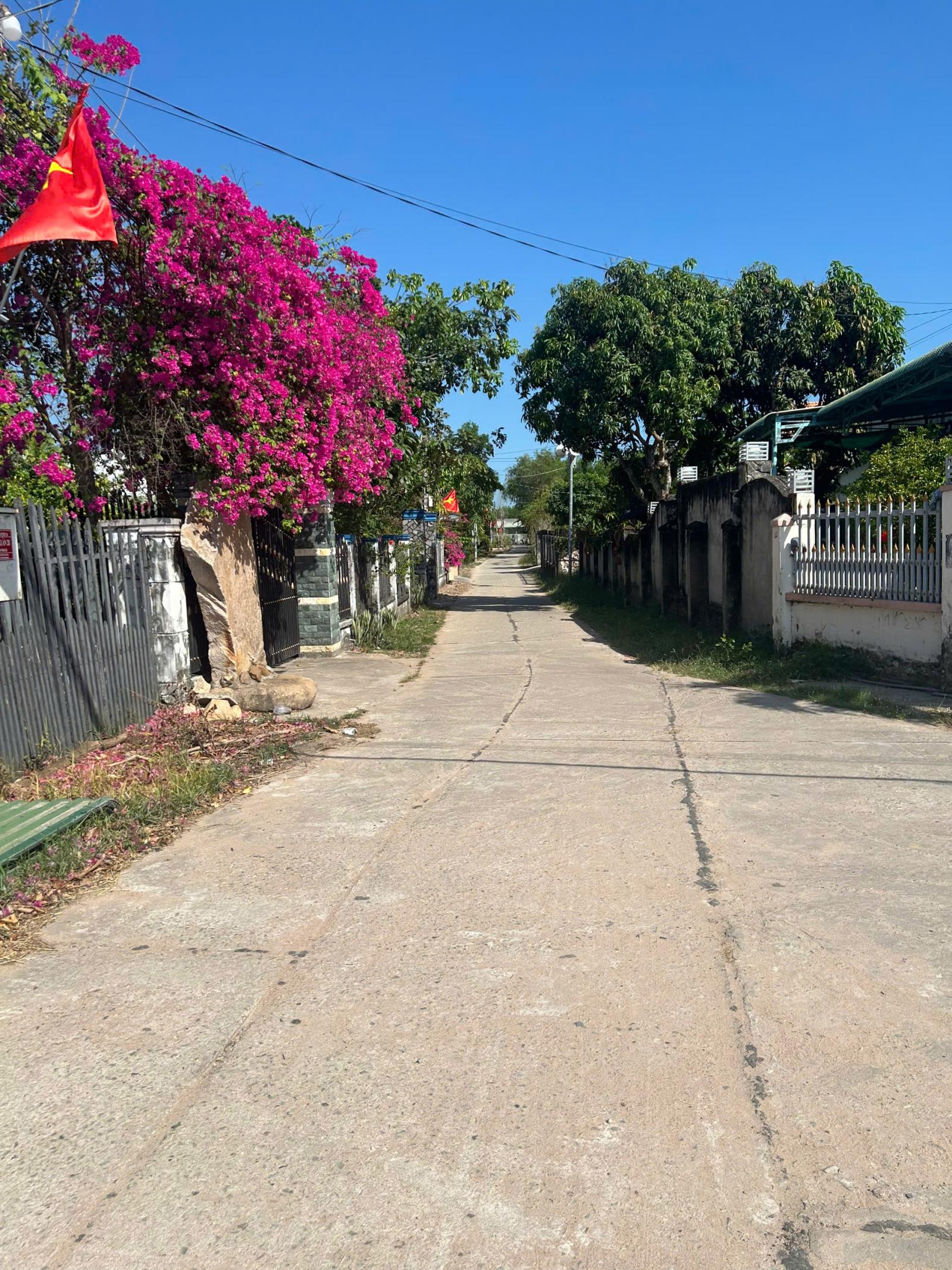 Bán nhà vườn 818m2 Hẻm Quốc Lộ 55 - Tân Xuân - Hàm Tân giá ngộp 1.2 tỷ 15997519