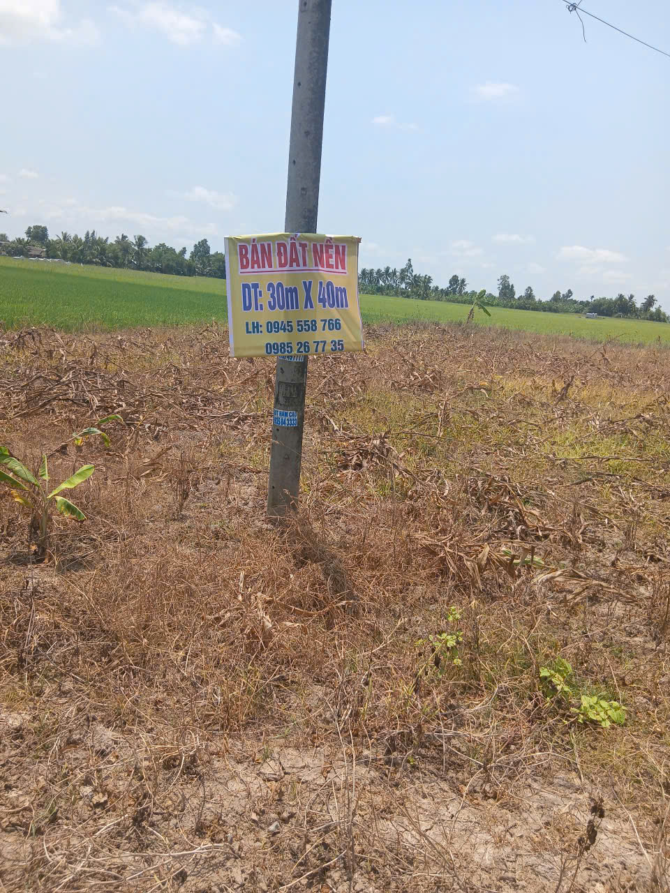 ►  CHÍNH CHỦ BÁN GẤP ĐẤT MẶT TIỀN ĐT 937B – LÔ DÀI 70M SIÊU HIẾM 15997545