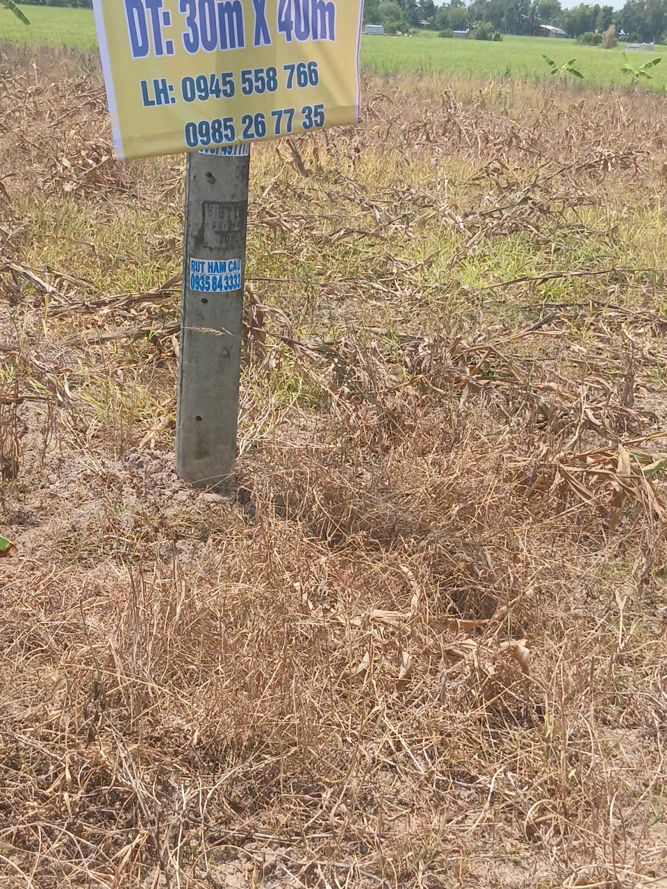 ►  CHÍNH CHỦ BÁN GẤP ĐẤT MẶT TIỀN ĐT 937B – LÔ DÀI 70M SIÊU HIẾM 15997545