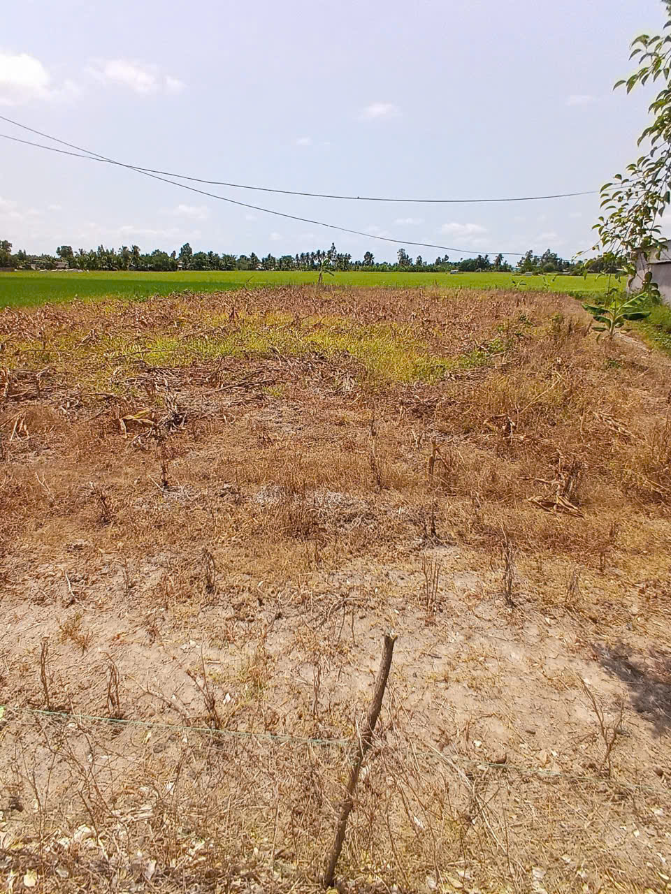 ►  CHÍNH CHỦ BÁN GẤP ĐẤT MẶT TIỀN ĐT 937B – LÔ DÀI 70M SIÊU HIẾM 15997545