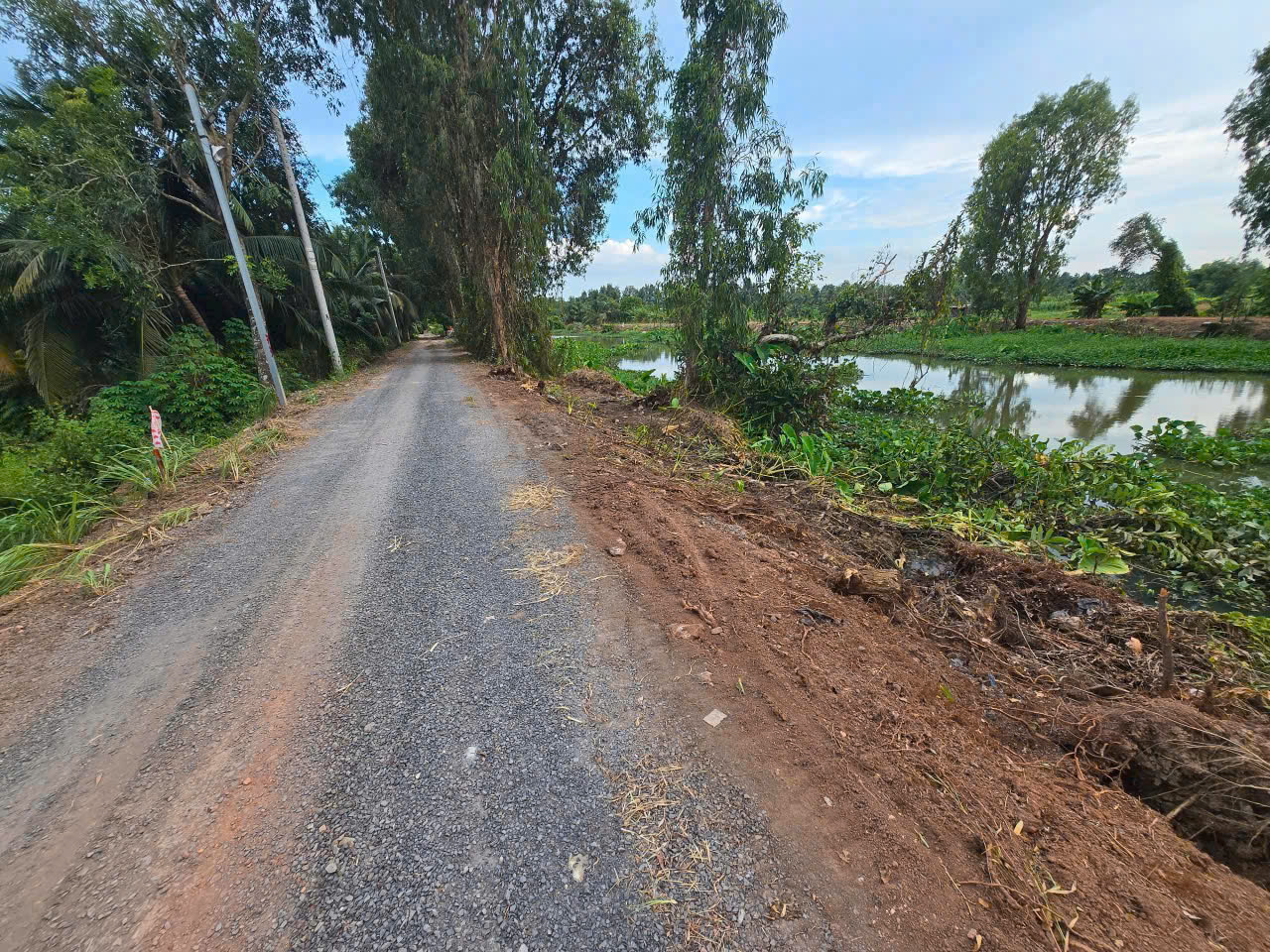 BÁN ĐẤT MẶT TIỀN SÔNG BÀ HỒNG – VIEW SIÊU ĐẸP – NHỊ BÌNH, HÓC MÔN 15997584