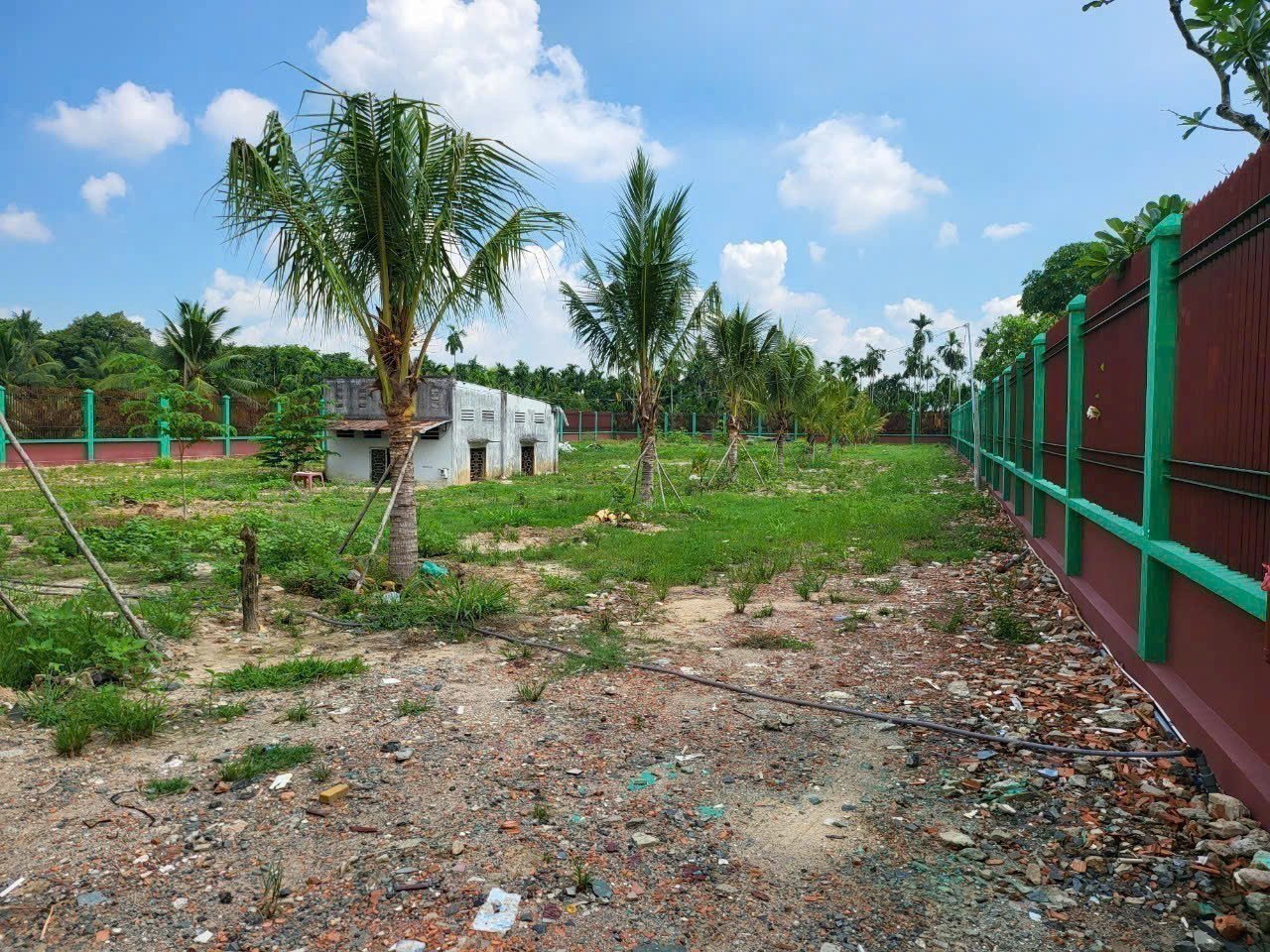 BÁN ĐẤT MẶT TIỀN SÔNG BÀ HỒNG – VIEW SIÊU ĐẸP – NHỊ BÌNH, HÓC MÔN 15997584