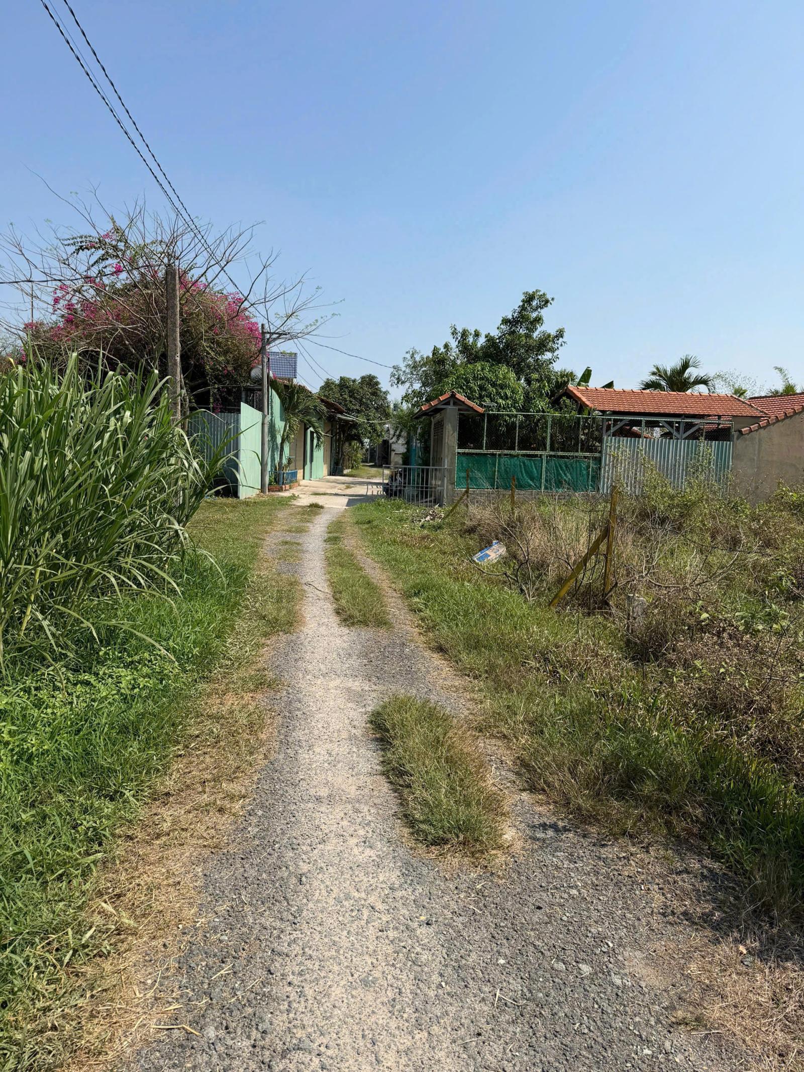 BÁN NHANH ĐẤT TẠI XÃ HÒA KHÁNH ĐÔNG, ĐỨC HÒA, LONG AN 15997587