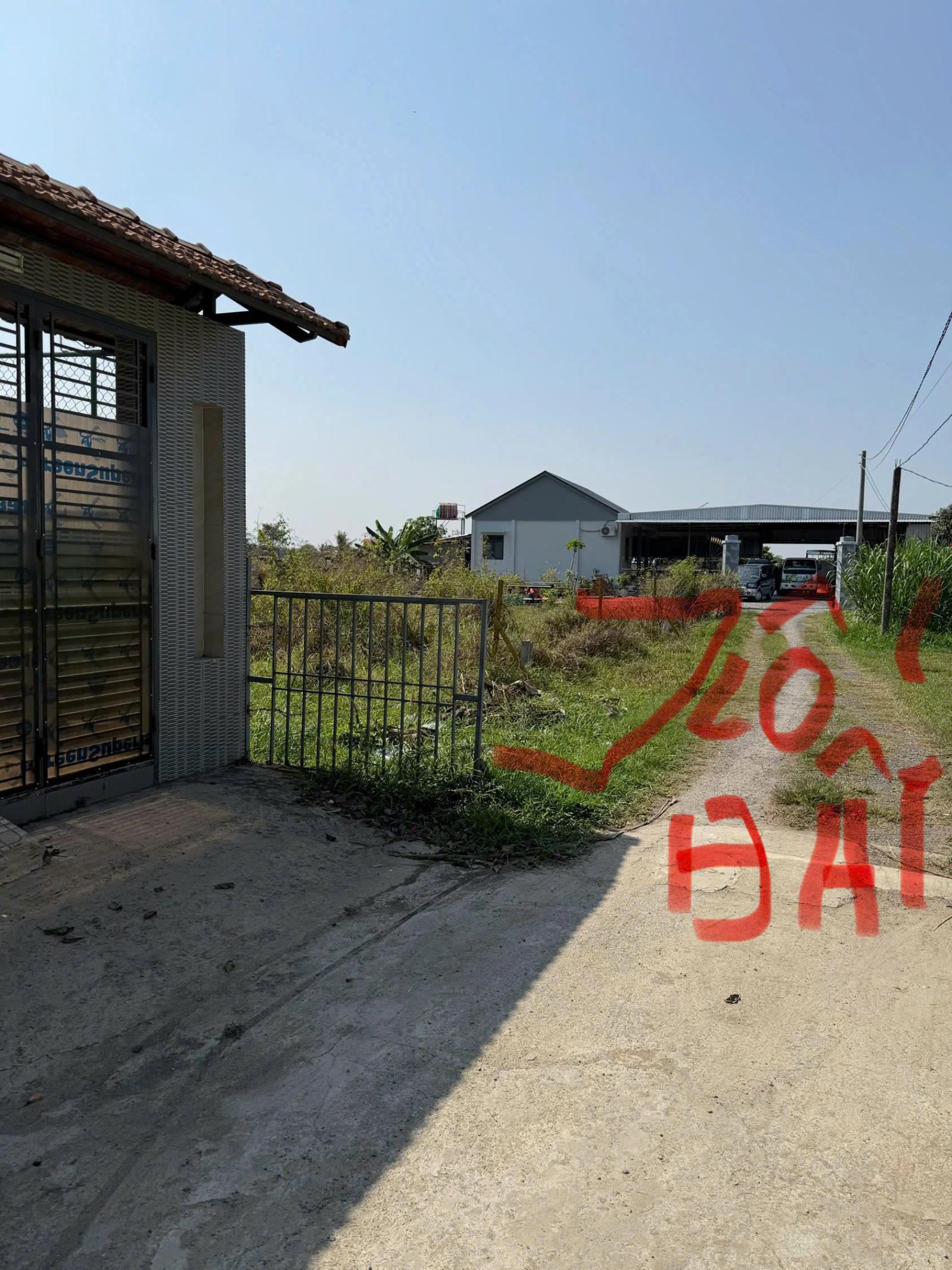 BÁN NHANH ĐẤT TẠI XÃ HÒA KHÁNH ĐÔNG, ĐỨC HÒA, LONG AN 15997587