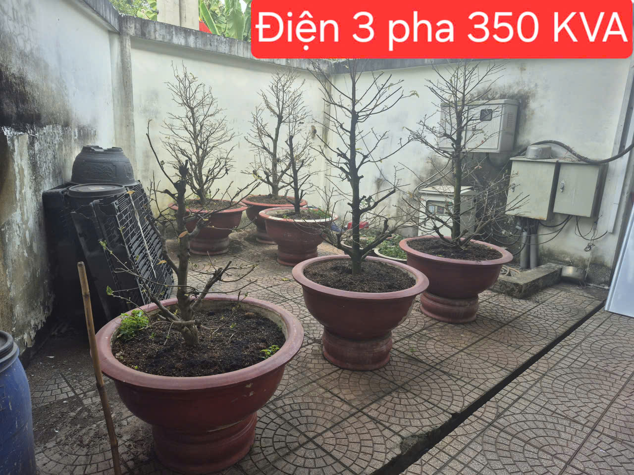 BÁN NHÀ XƯỞNG BÌNH MỸ – CỦ CHI – DÒNG TIỀN 50TR/THÁNG CHỈ NHĨNH 17Đ 15997599