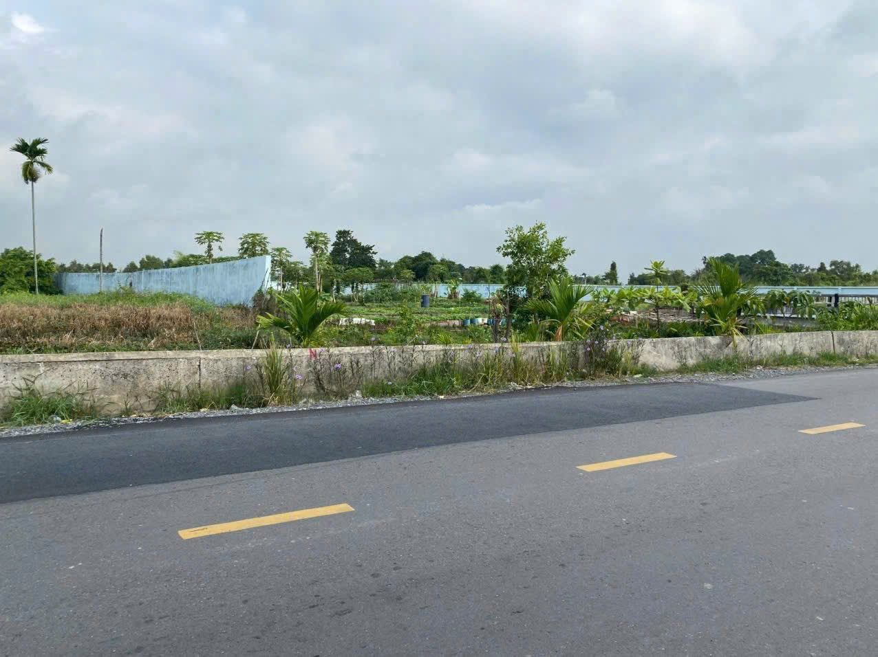 BÁN ĐẤT MẶT TIỀN VÕ VĂN BÍCH – DT 2.934M² – THỔ CƯ 2.217M² – GIÁ CHỈ 25 TỶ 15997634