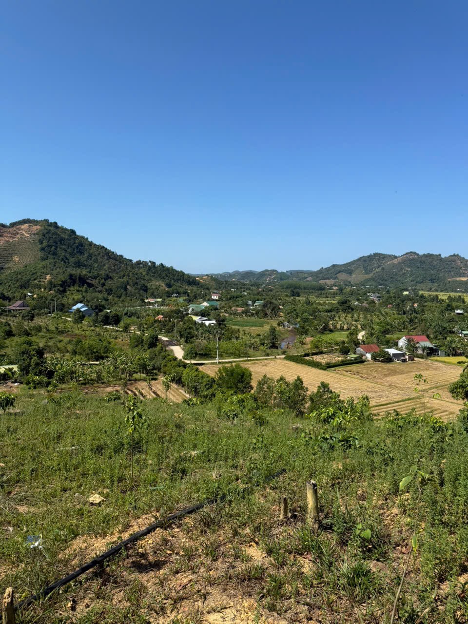 ĐẤT ĐẸP – GIÁ TỐT – CHÍNH CHỦ CẦN BÁN Tại Tiên Hoàng, H. Cát Tiên, T. Lâm Đồng 15997640