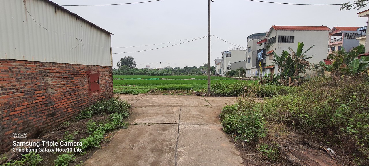 Bán đất khu đấu giá Phúc Tiến - Phường Chương Mỹ - Hà Nội 15997788