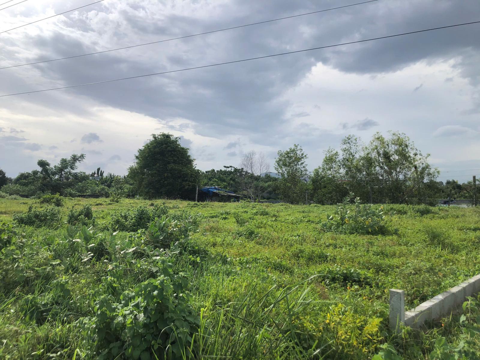 Bán 5m x 24m đất ONT mặt tiền Hùng Vương - Tân Tiến - LaGi gần biển 15997838