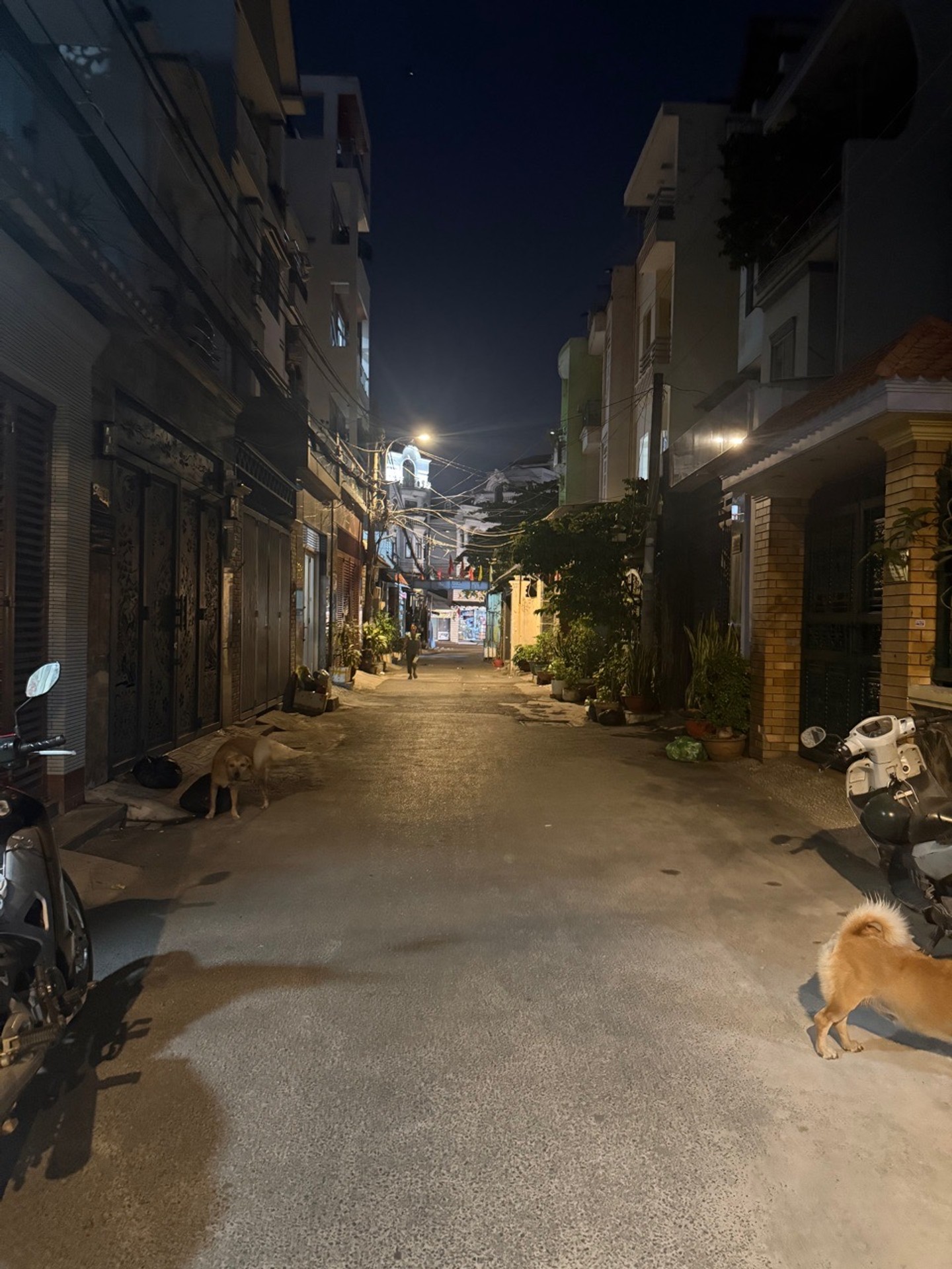 Bán nhà 5 tầng đường Đỗ Thúc Tịnh, P. An Hội Tây (Gò Vấp cũ) 15997873