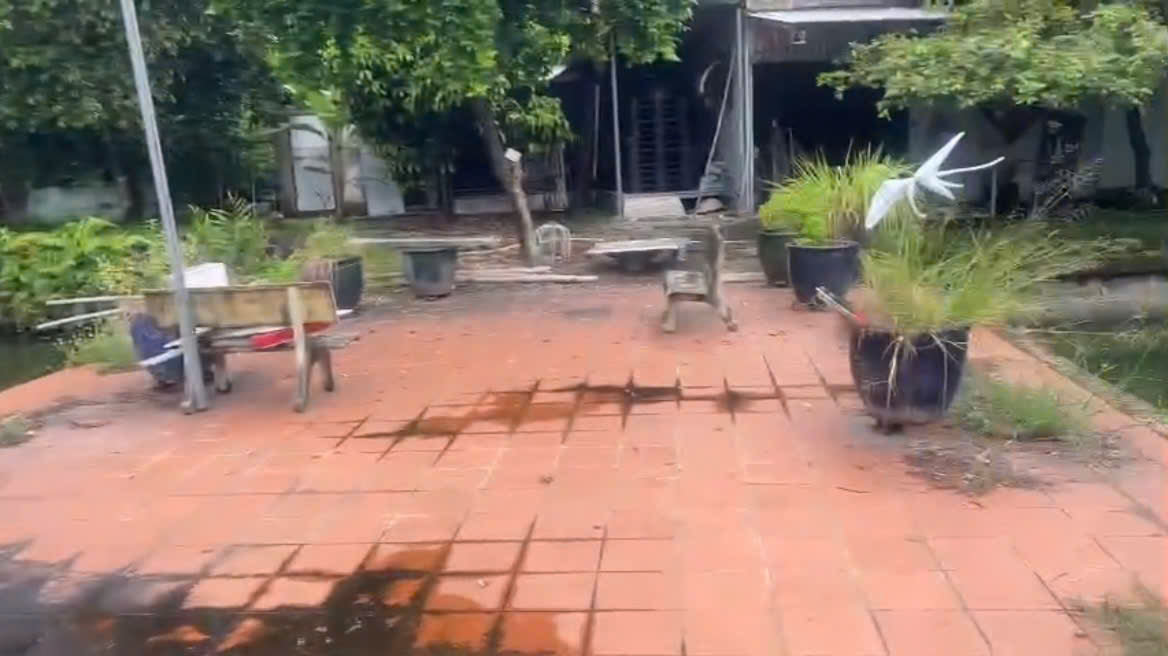 BÁN ĐẤT + BIỆT THỰ GẦN 4000M², NHỊ BÌNH, ĐÔNG THẠNH), HÓC MÔN 25 TỶ! 15997926