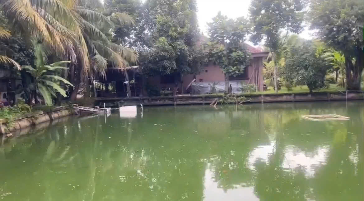 BÁN ĐẤT + BIỆT THỰ GẦN 4000M², NHỊ BÌNH, ĐÔNG THẠNH), HÓC MÔN 25 TỶ! 15997926