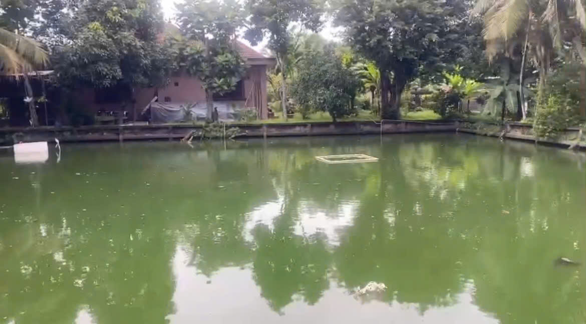 BÁN ĐẤT + BIỆT THỰ GẦN 4000M², NHỊ BÌNH, ĐÔNG THẠNH), HÓC MÔN 25 TỶ! 15997926