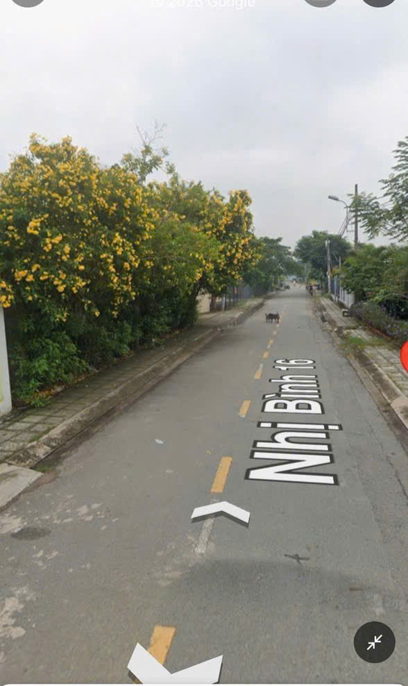 XƯỞNG NHỊ BÌNH ĐÔNG THẠNH HOÀN CÔNG ĐẦY ĐỦ – ĐƯỜNG CONT 8M – GIÁ TỐT 15997929