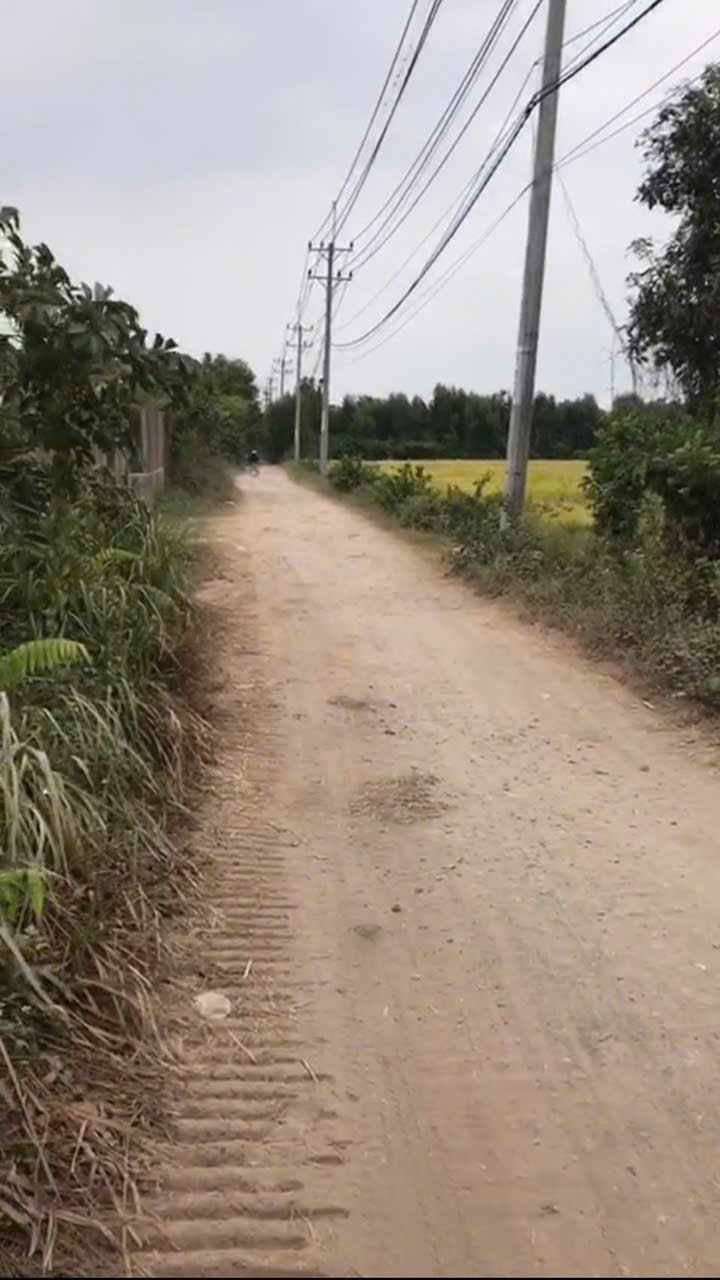 NHÀ VƯỜN NGHỈ DƯỠNG GIÁ MỀM – QUỸ ĐẤT LỚN HIẾM TẠI TÂN HIỆP, HÓC MÔN 15997941