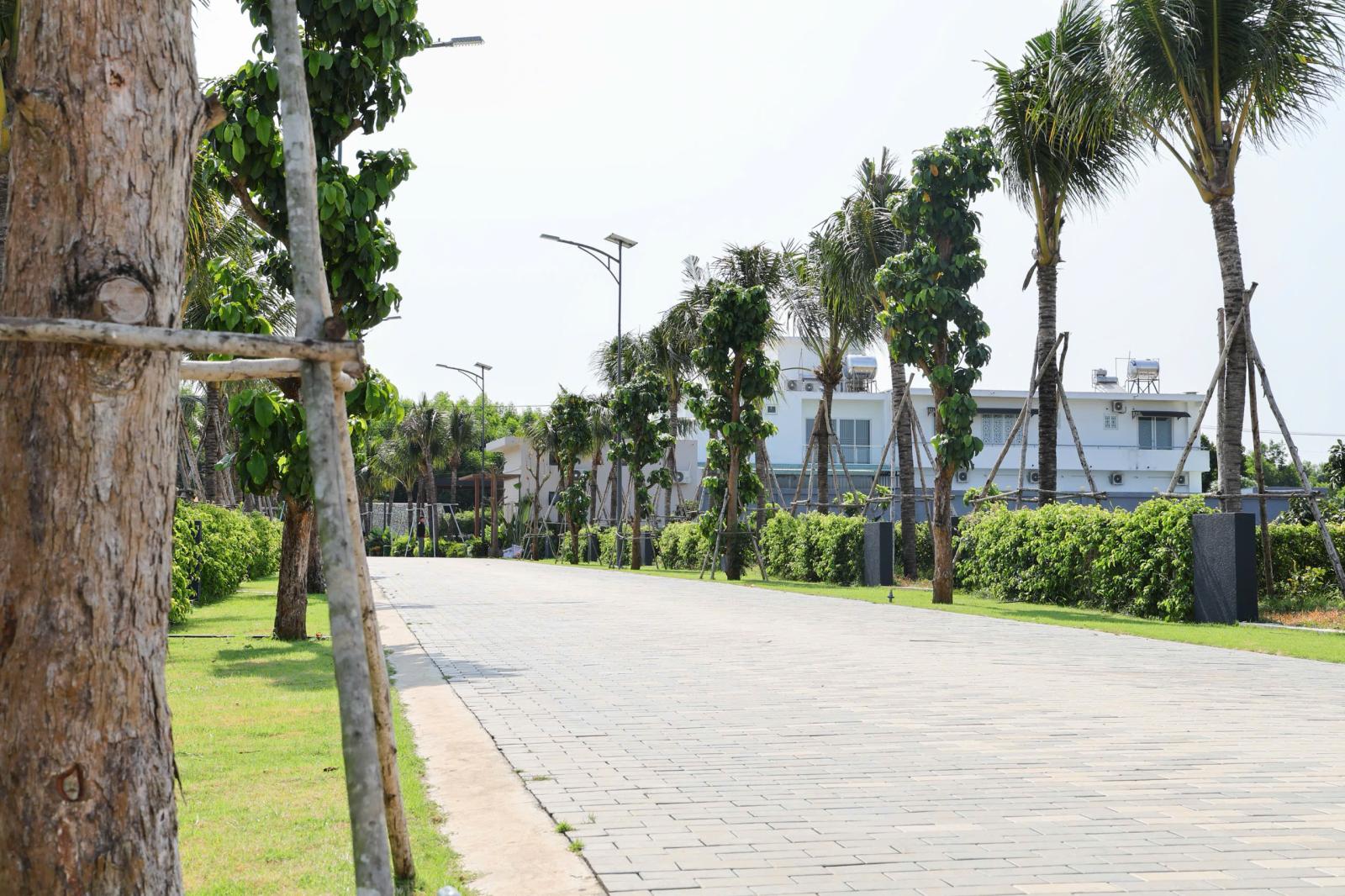 Sổ hồng sẵn - 12x40m (500m²) Đất Biệt Thự Sát Biển Phước Hải - Chỉ 6Tr/m² - Công chứng ngay 15998045