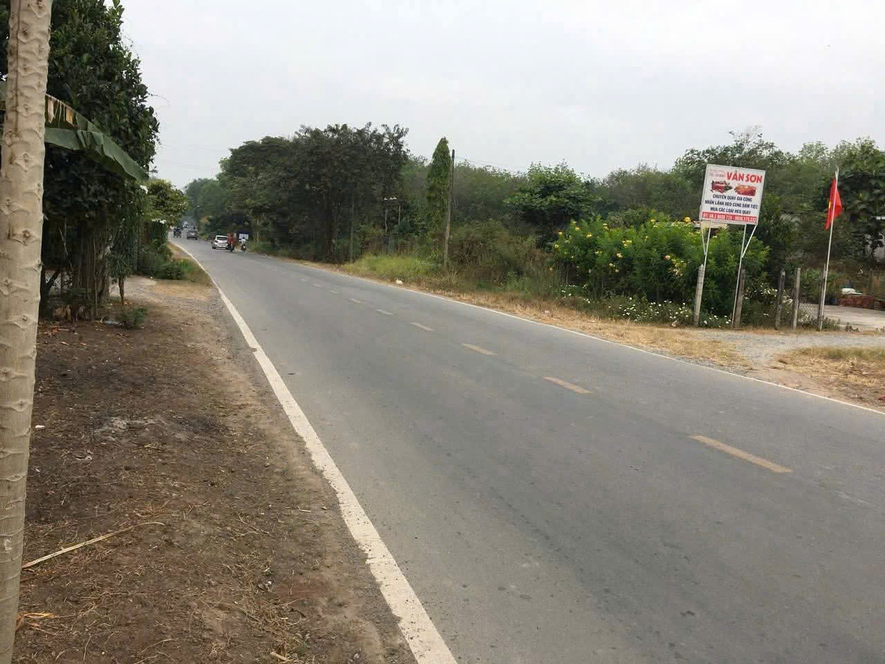 ĐẤT MẶT TIỀN TỈNH LỘ 15 – CỦ CHI – GẦN KHU CÔNG NGHỆ CAO – 1000M² THỔ CƯ 15998106