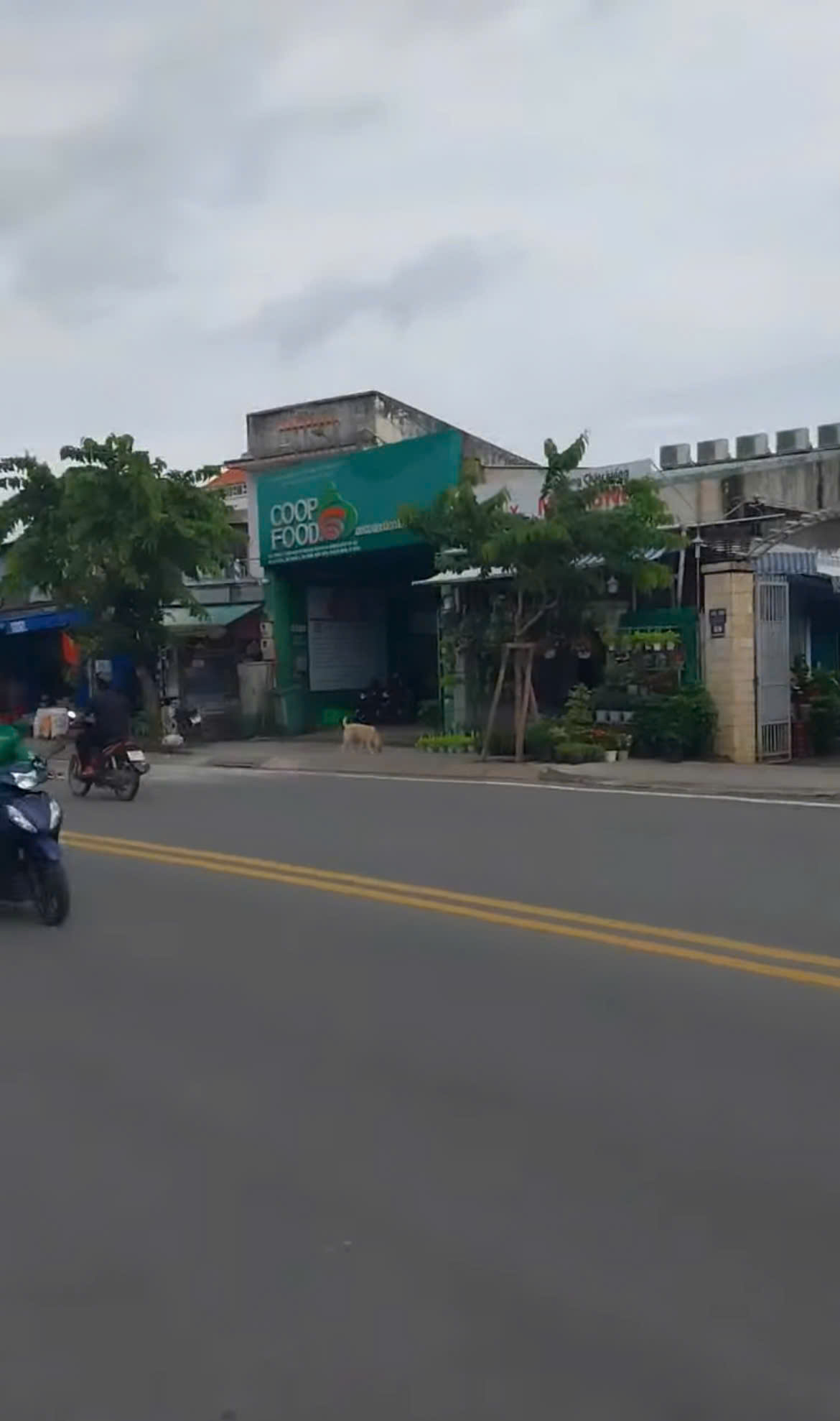 NHÀ (6.15X16) MẶT TIỀN LÊ LỢI, HÓC MÔN – KẾ CHỢ, KẾ UBND CỰC KỲ HIẾM! 15998109