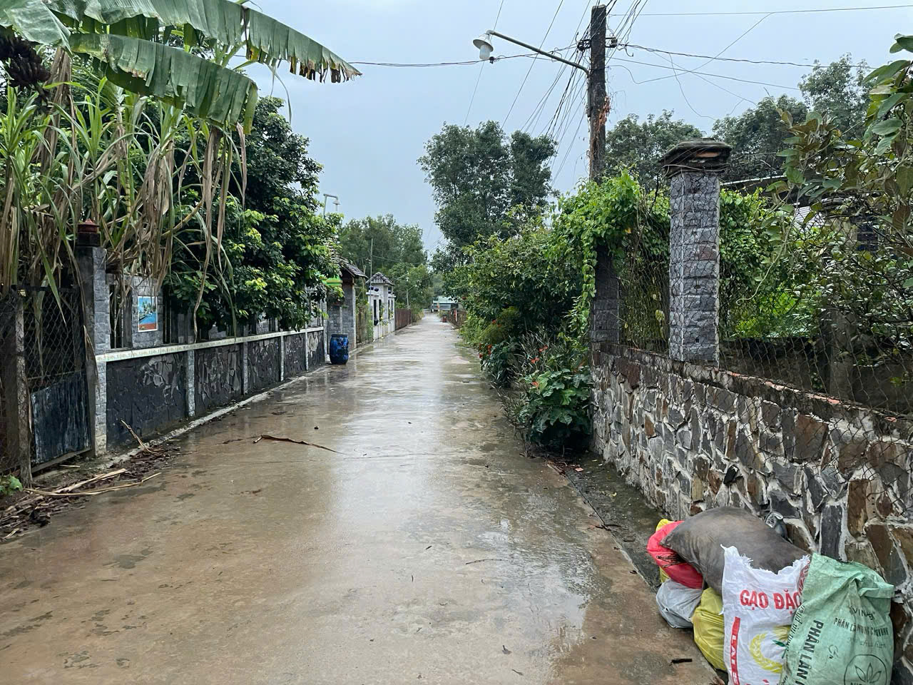 Chính chủ bán nhà đất giá tốt tại Phú An - Bến Cát. 15998115