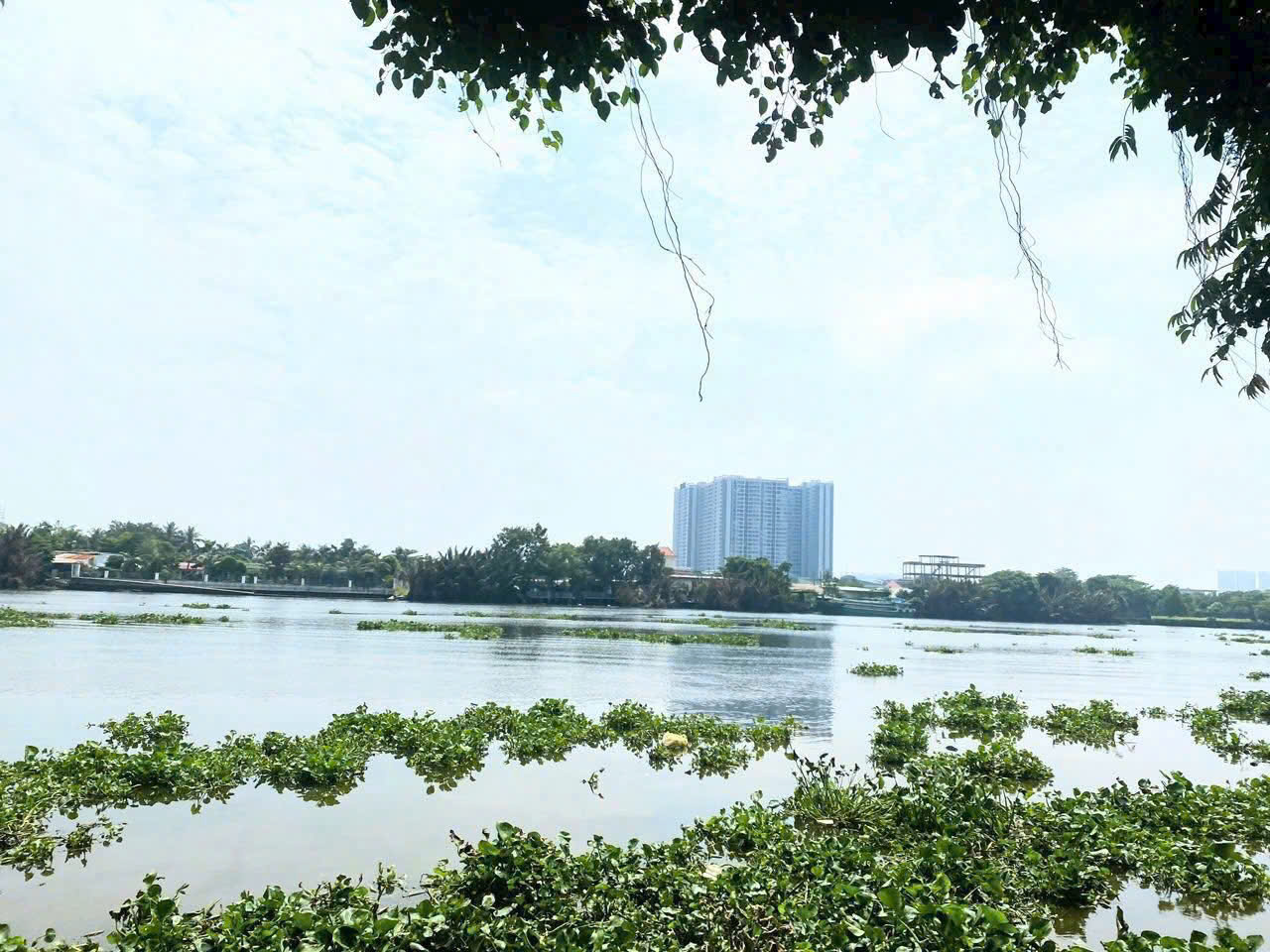 ĐẤT 2MT SÔNG SG 1.800M2 NHỊ BÌNH, HÓC MÔN, GIÁ RẺ (GẦN PHÀ AN SƠN) 15998117