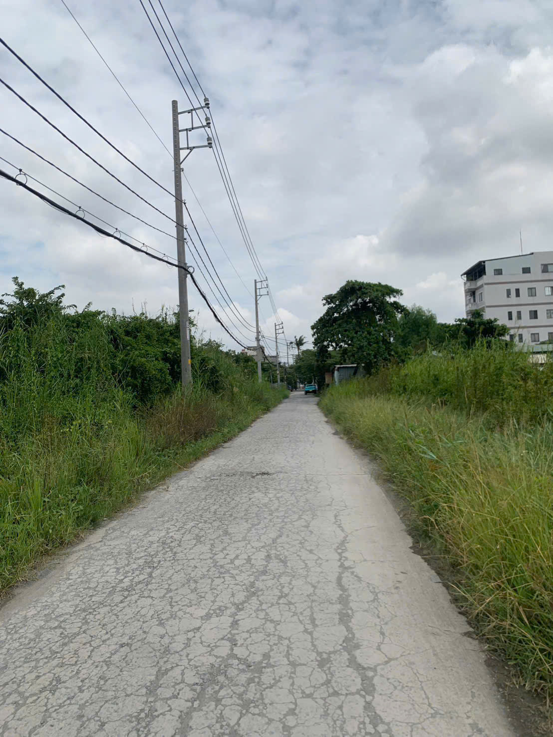 ĐẤT 2MT SÔNG SG 1.800M2 NHỊ BÌNH, HÓC MÔN, GIÁ RẺ (GẦN PHÀ AN SƠN) 15998117