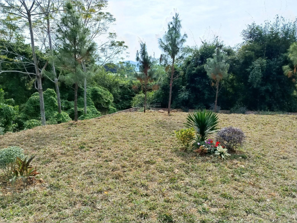 Cực Sốc ,Rẻ Nhất Hoà Lạc,Lô 104,2m2 Phúc Tiến, Bình Yên Tuyến 2 đường DT420 Cách Công nghệ cao Hoà 15998125