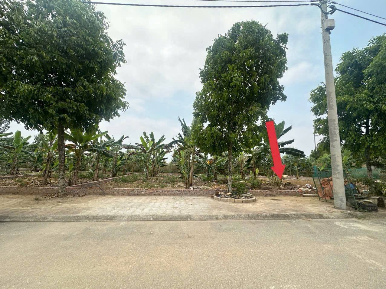 Cơ hội “bắt đáy” hiếm có tại Bình Yên – chỉ 108m² nhưng giá đang ở vùng cực tốt, mua là có lợi thế 15998133