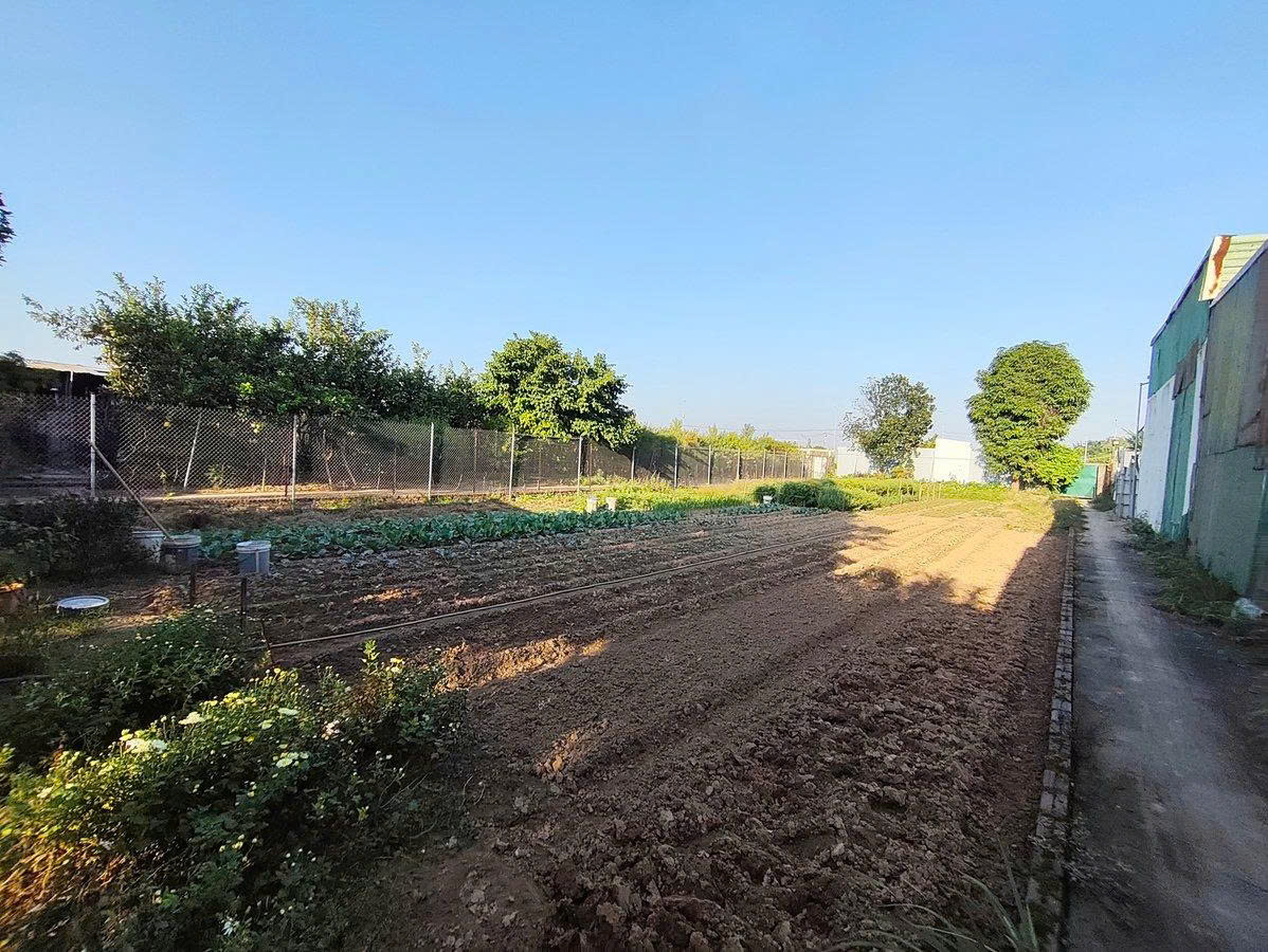 HÀNG KÍN ÂU CƠ – 1450M2 – 2 MẶT Ô TÔ – KHO XƯỞNG SẴN – CHỦ NỢ BANK CẦN RA HÀNG NGAY 15998181