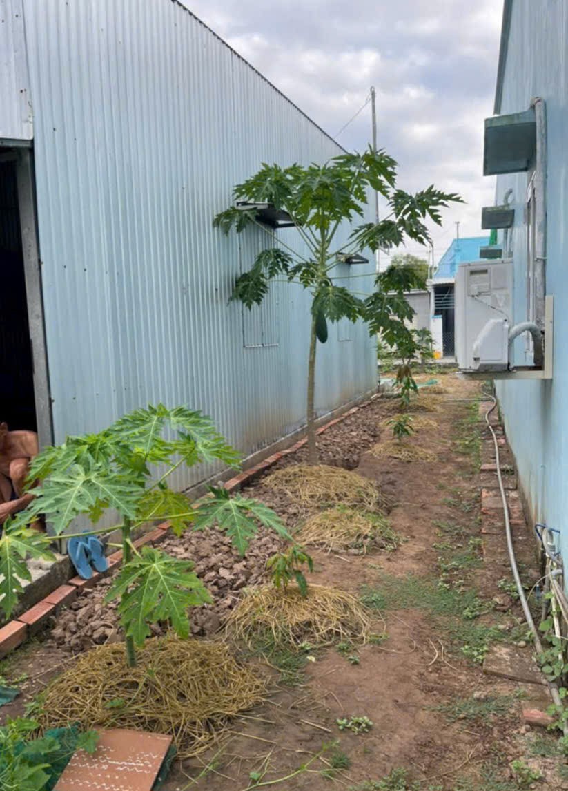 VỊ TRÍ ĐẸP - GIÁ TỐT - Bán Đất Tặng Nhà Tiền Chế Tại Khóm 1, Phường 1, TP Bạc Liêu 15998200