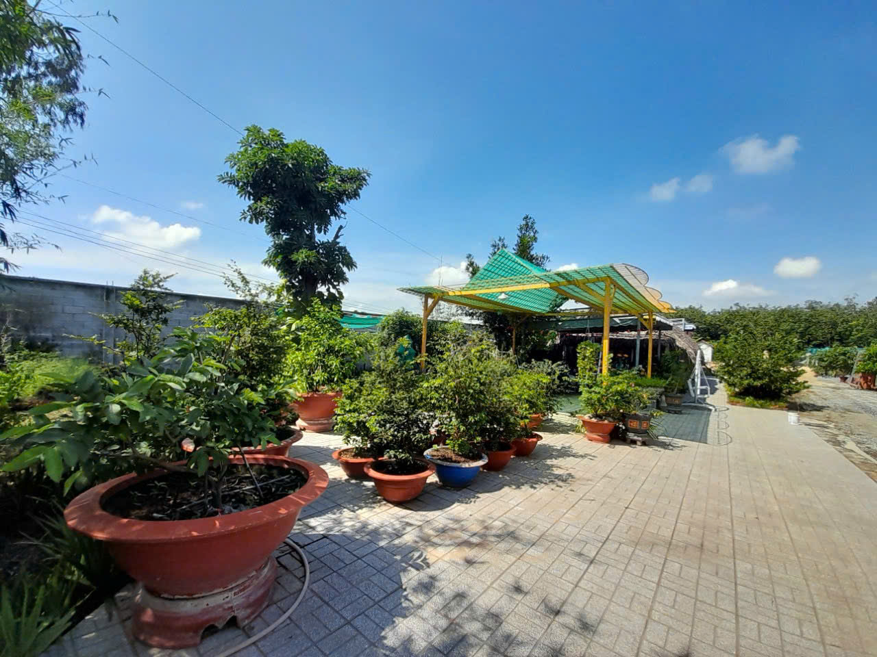 CHÍNH CHỦ bán đất đường số 3 BỜI LỜI, Khu phố Ninh Phúc, Phường Ninh Thạnh, Thành phố Tây Ninh 15998223