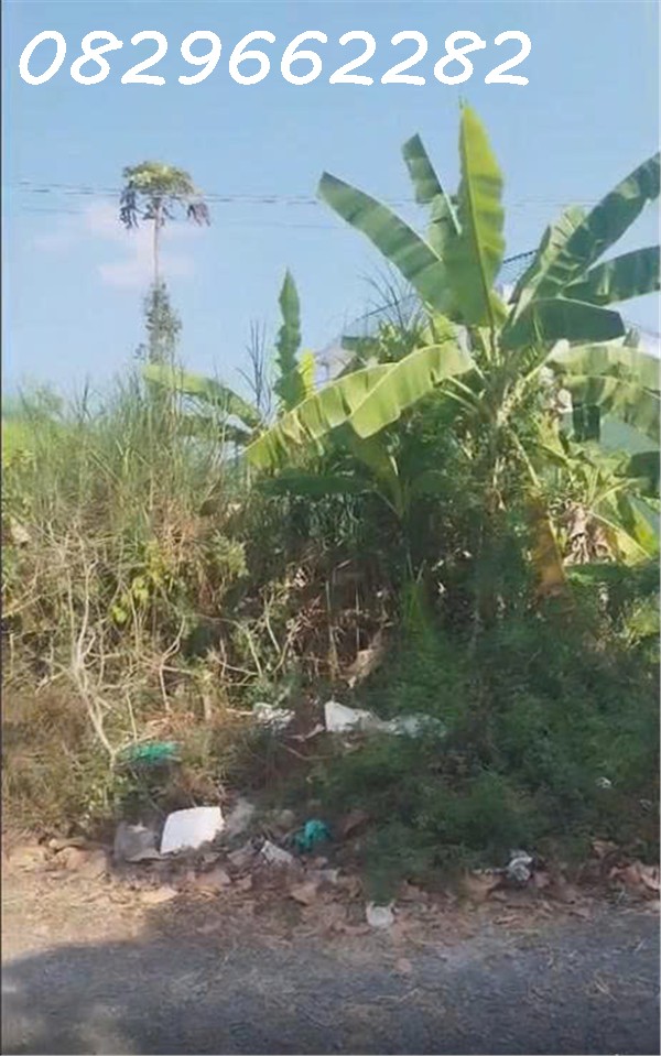 Chỉ 10 triệu/ m2, Sở Hữu Ngay Đất Thổ Cư Sổ Hồng Riêng 96m2 Đường Nhựa, KDC đường 853, Tân Phú 15998258